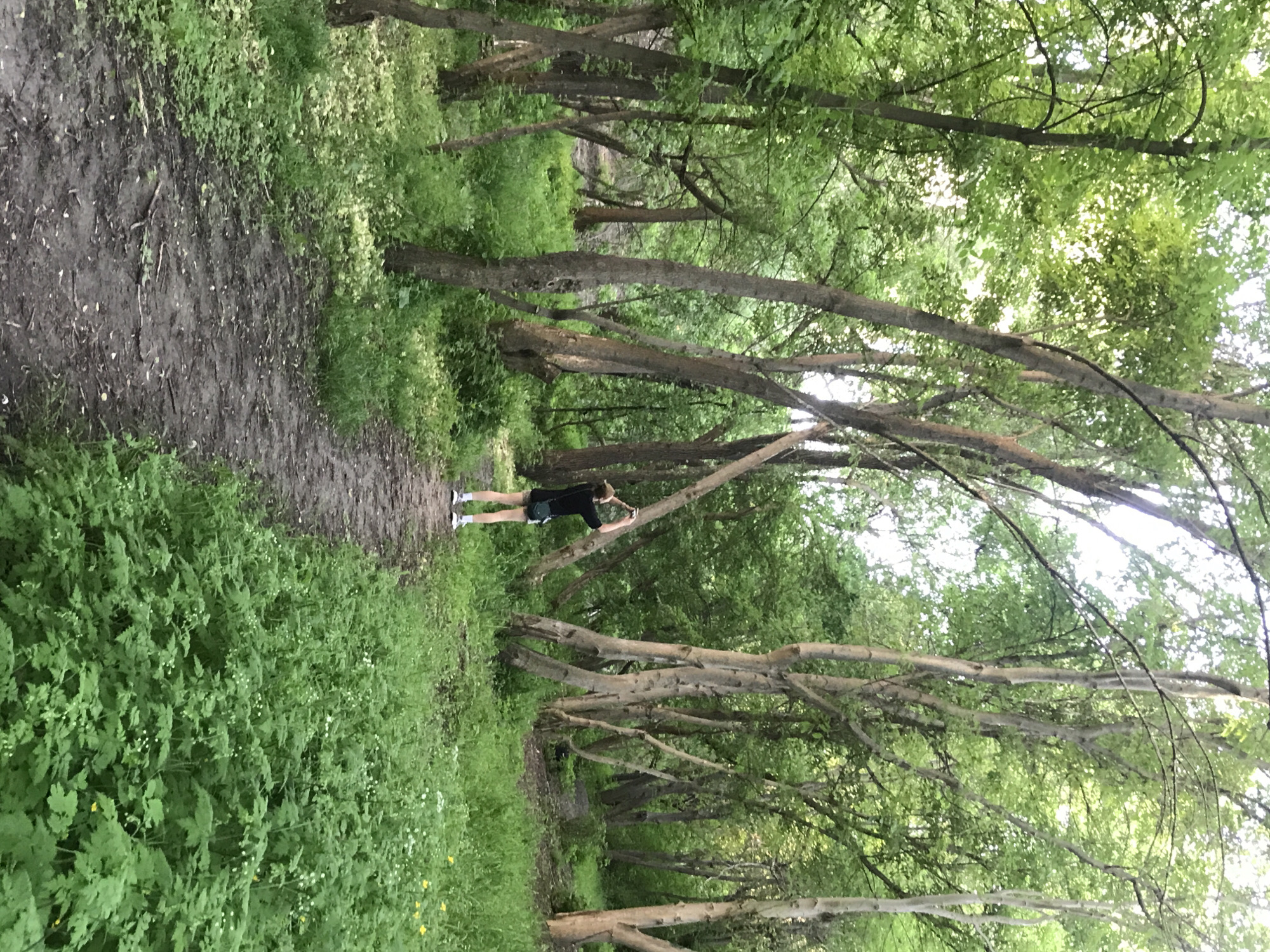 The image shows a person standing on a dirt path in a wooded area. The path is lined with green vegetation. There are many trees with thin branches, some of which are low to the ground. The person is wearing a dark shirt and shorts with white sneakers. They appear to be stretching or holding onto a branch. The location is Kharkiv, Ukraine.