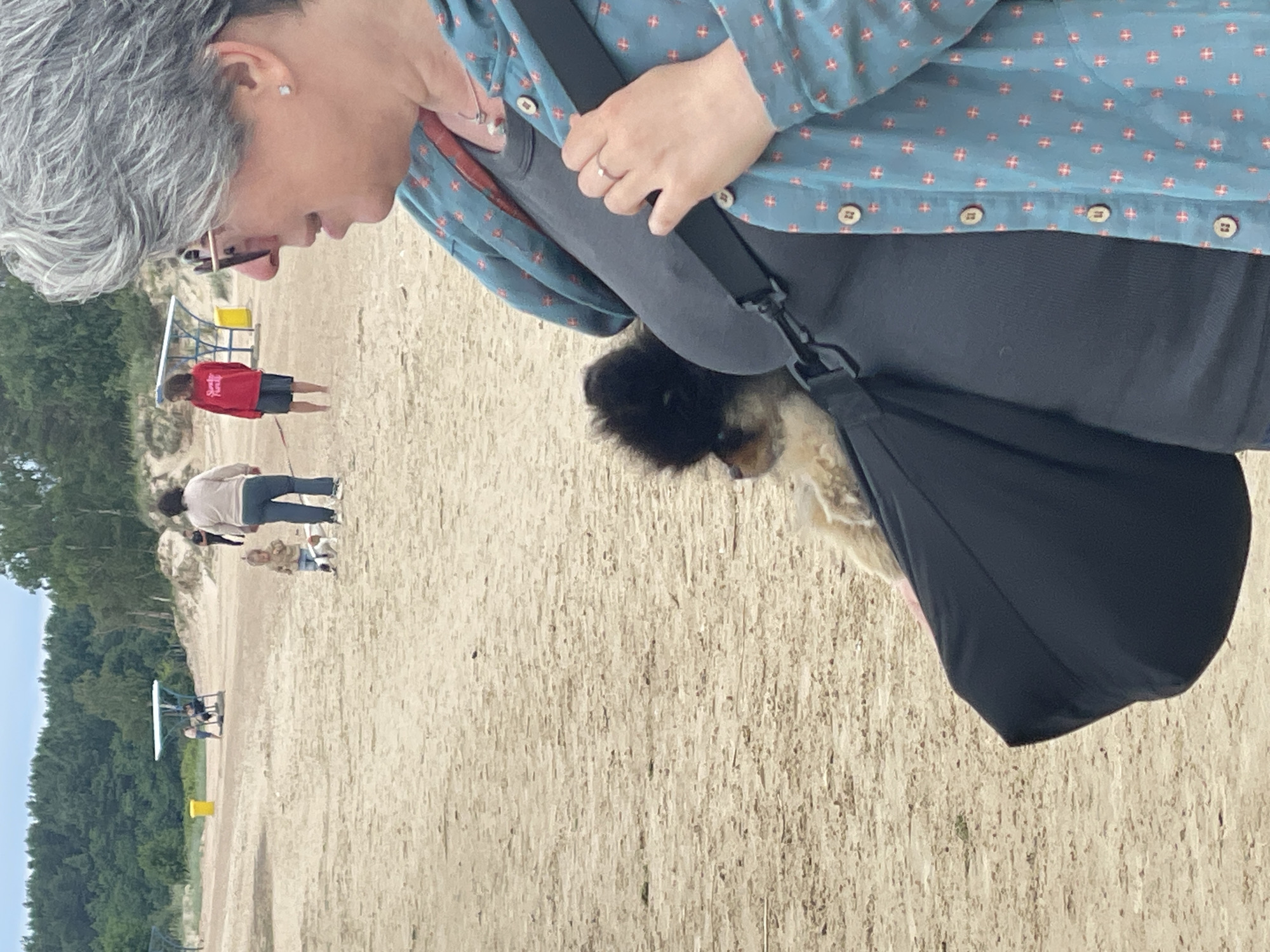 A woman with short, gray hair and glasses carries a small, fluffy dog in a black carrier bag on her chest. She is wearing a teal, long-sleeved shirt with a red and white patterned design and a dark gray undershirt. Her right hand, adorned with a ring, rests on the strap of the carrier. In the background, on a sandy beach, a child is walking a dog, and two adults are standing near a yellow trash can and a blue-and-white shaded structure. Further in the distance, a forest lines the horizon. The location is identified as a beach in Sosnoviy Bor, Russia.