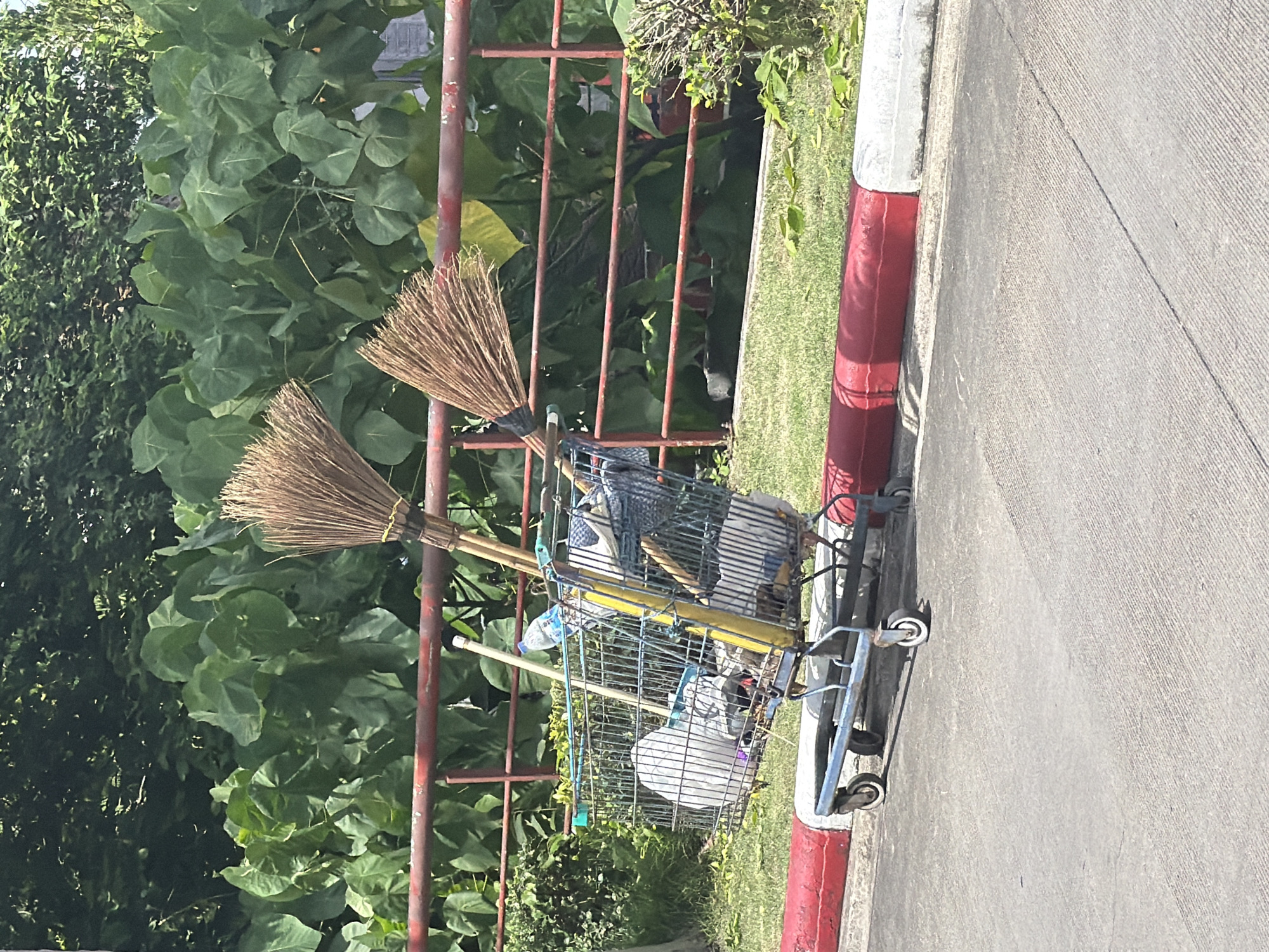 This is a medium-angle, eye-level, full-shot photograph taken in Ko Samui, Thailand. In the foreground, a faded blue metal shopping cart is parked on a paved surface next to a red and white curb. The cart is filled with various items, including two brooms with natural fiber bristles, a long yellow pole, a white plastic bag, a clear plastic bottle with a blue label, and other assorted debris. In the background, a red metal railing runs horizontally across the frame. Behind the railing is a dense arrangement of large, green, lush leaves from tropical plants. Sunlight casts shadows and highlights on the scene.