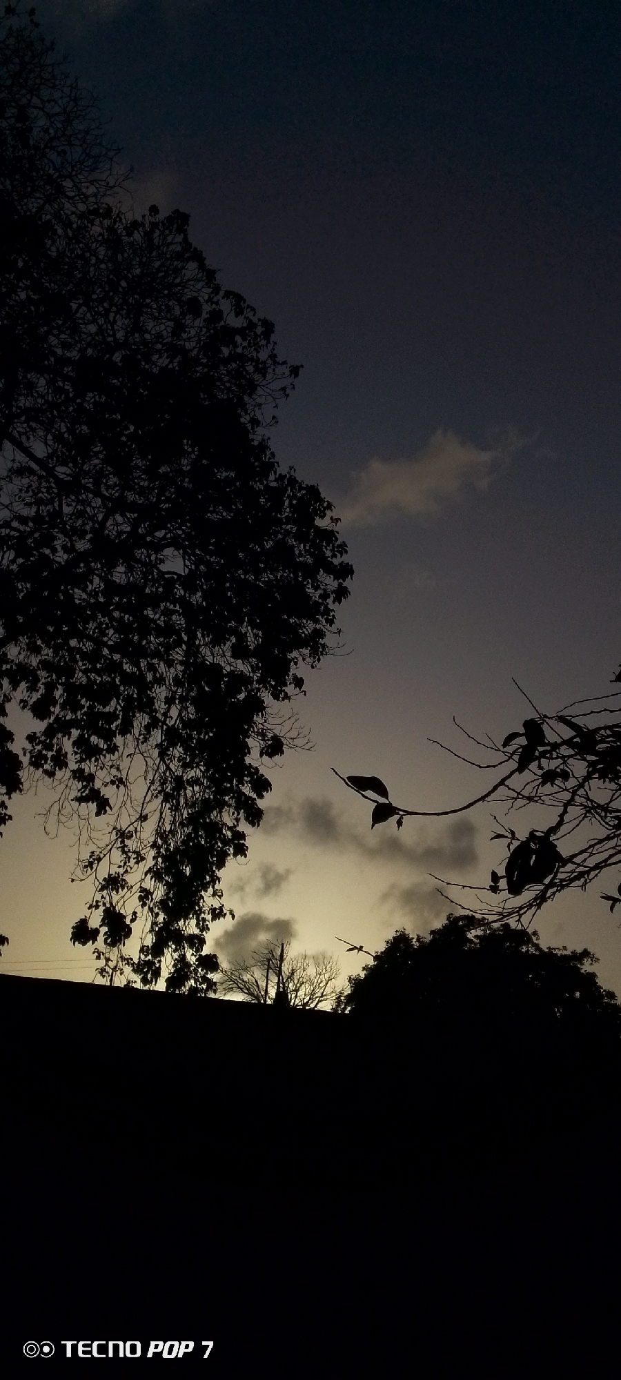 This vertical image captures an outdoor scene at either dusk or dawn, characterized by a gradient sky and silhouetted natural elements. The upper part of the sky is a deep, dark blue-grey, gradually lightening towards the horizon where it takes on a muted yellow-orange hue, suggesting the sun is below the visible frame. Sparse, light-grey clouds are scattered across the sky, with a more prominent cluster visible in the lower, lighter section.
Dominating the left side of the frame is the dark silhouette of a large tree with dense foliage and intertwining branches, extending downwards into the lower-left corner. On the right, several branches from other trees are silhouetted against the sky, one of which distinctively displays two leaves. In the lower portion of the image, the dark outlines of what appear to be rooftops or the ground line, topped with additional tree silhouettes, create a stark contrast against the brighter sky. No people or activities are visible. The overall mood is tranquil and contemplative, highlighting the natural beauty of the twilight hours. In the bottom left corner, the text "TECNO POP 7" with its logo is visible, indicating the device used to capture the photograph in Altagracia, Venezuela.
