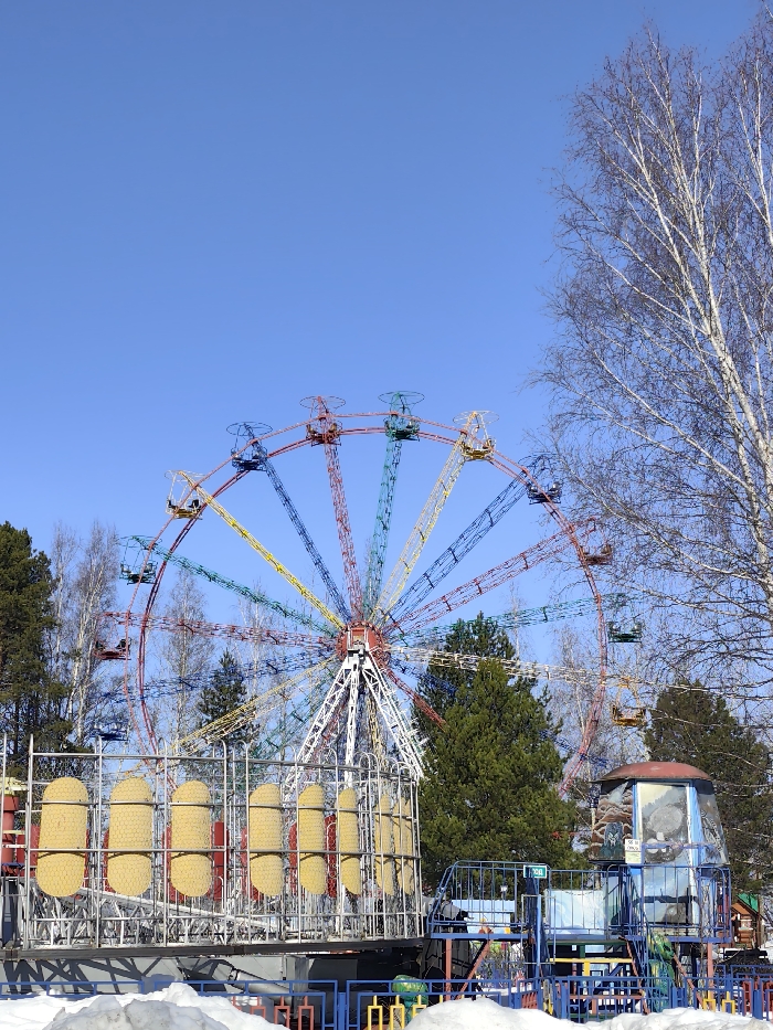 The image depicts an amusement park in Chaikovsky, Russia, under a clear blue sky. A large Ferris wheel is the central feature, presenting a multi-colored structure with spokes segmenting into red, blue, yellow, and green sections, each holding an empty passenger gondola. In the lower left foreground, a stationary amusement ride composed of several yellow, pod-like enclosed seats secured within a metal frame structure is visible. To the right of this ride, a smaller blue and white structure, possibly a control booth or another ride component, stands on a low platform. The ground throughout the visible park area is partially covered in patches of white snow. Various trees populate the background and right side of the frame; these include bare deciduous trees, identifiable by their light-colored bark, and dark green coniferous trees. No people are present or engaged in any activities within the depicted scene.