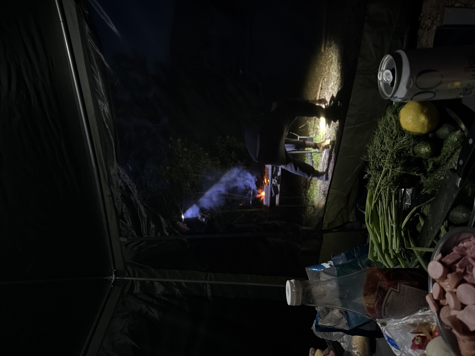 The image shows the interior of a dark tent at night, likely in a rural or forested area, given the visible campfire outside. A person is tending the fire. Inside the tent, there are food and drink items: a partially consumed beverage can, a lemon, dill, cucumbers, a bottle (possibly ketchup or a similar condiment), and a bowl of chopped meat (sausage and ham). The tent itself is a dark green color with visible support poles. The scene suggests camping or a similar outdoor activity at night. Noviy, Russia cannot be determined from the provided information.