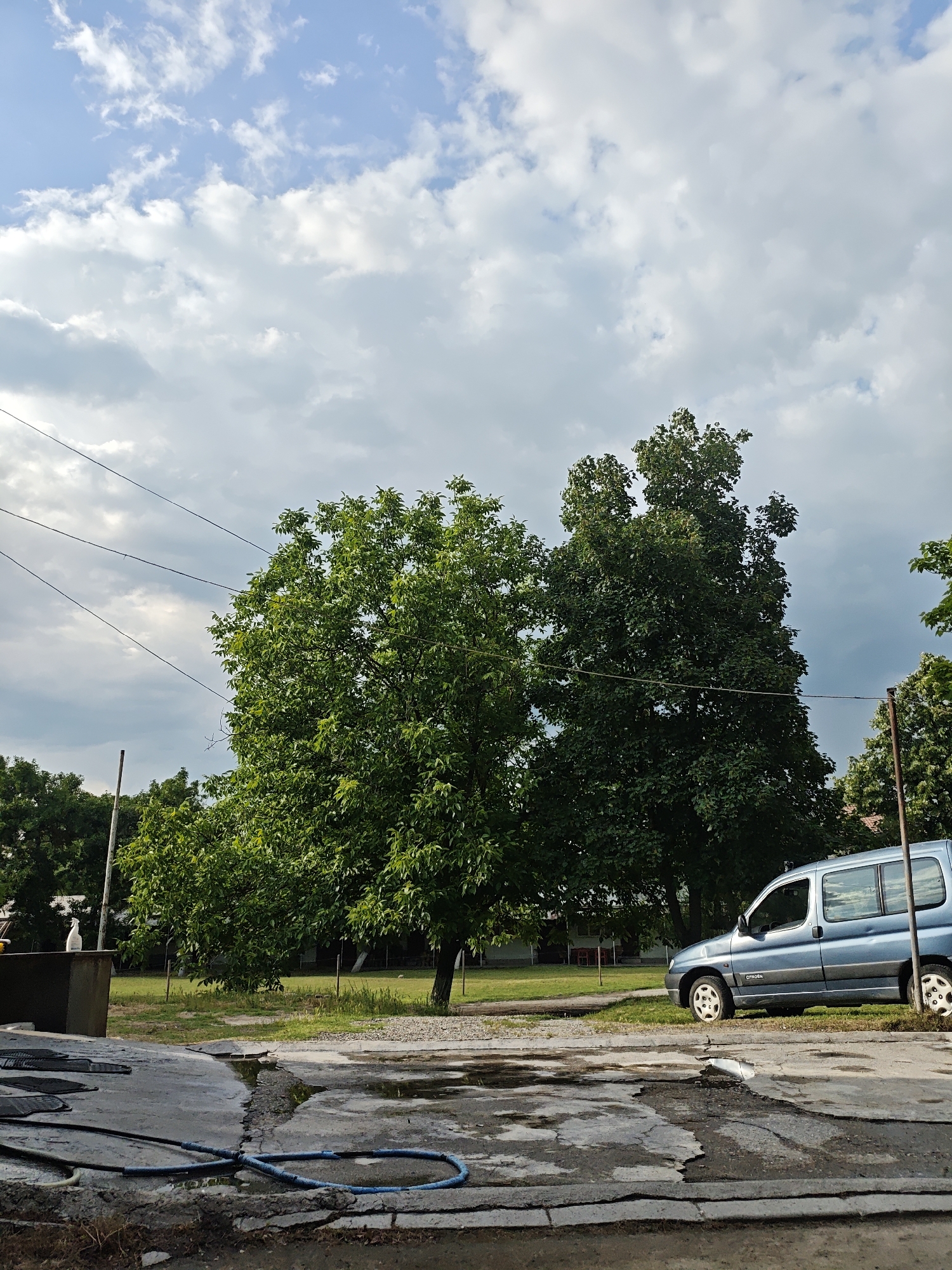 The image shows an outdoor scene in an urban environment. In the foreground, a deteriorated concrete surface with cracks and puddles of water is visible. A blue garden hose is lying on the ground in a loop. To the left, there is a concrete structure with a white spray bottle on top and some car mats. In the background, there are green trees and grass. A blue Citroen Berlingo car is parked on the grass near the trees. Overhead, power lines stretch across the sky, which is filled with a mix of blue sky and white clouds.