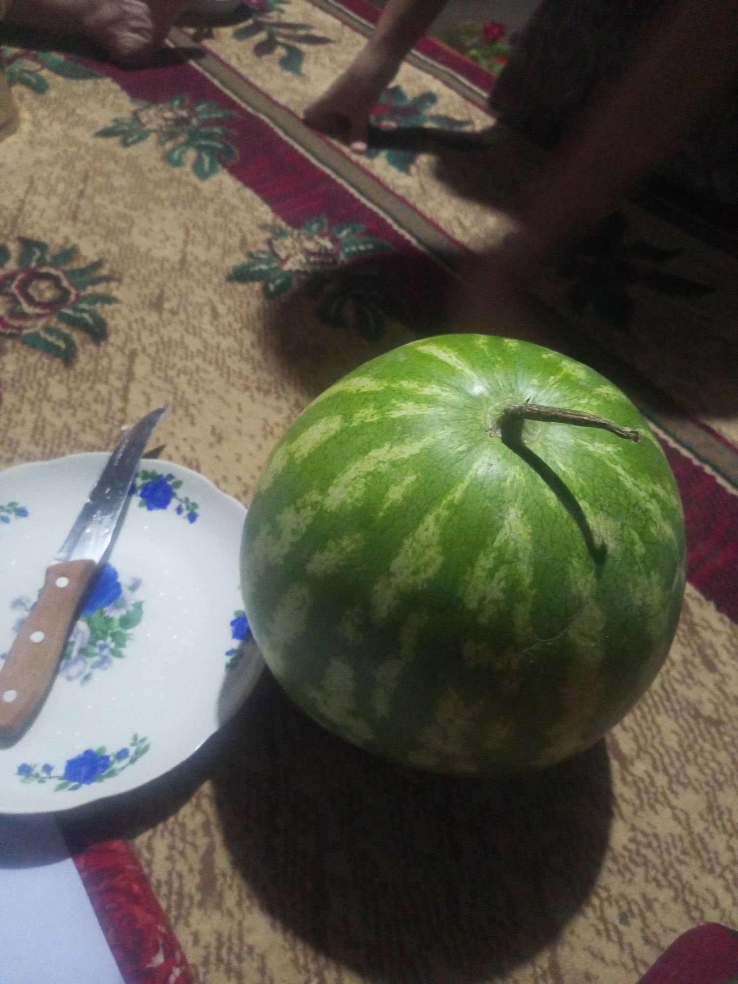 In an indoor setting, possibly a home, a whole watermelon rests on a patterned rug. To the left of the watermelon is a white plate with blue floral designs, and on the plate lies a knife with a wooden handle and a silver blade. The lighting in the scene is dim, casting shadows, and the background is blurred, with hints of what appear to be human legs and feet visible. The rug has a beige base with red and green floral motifs.