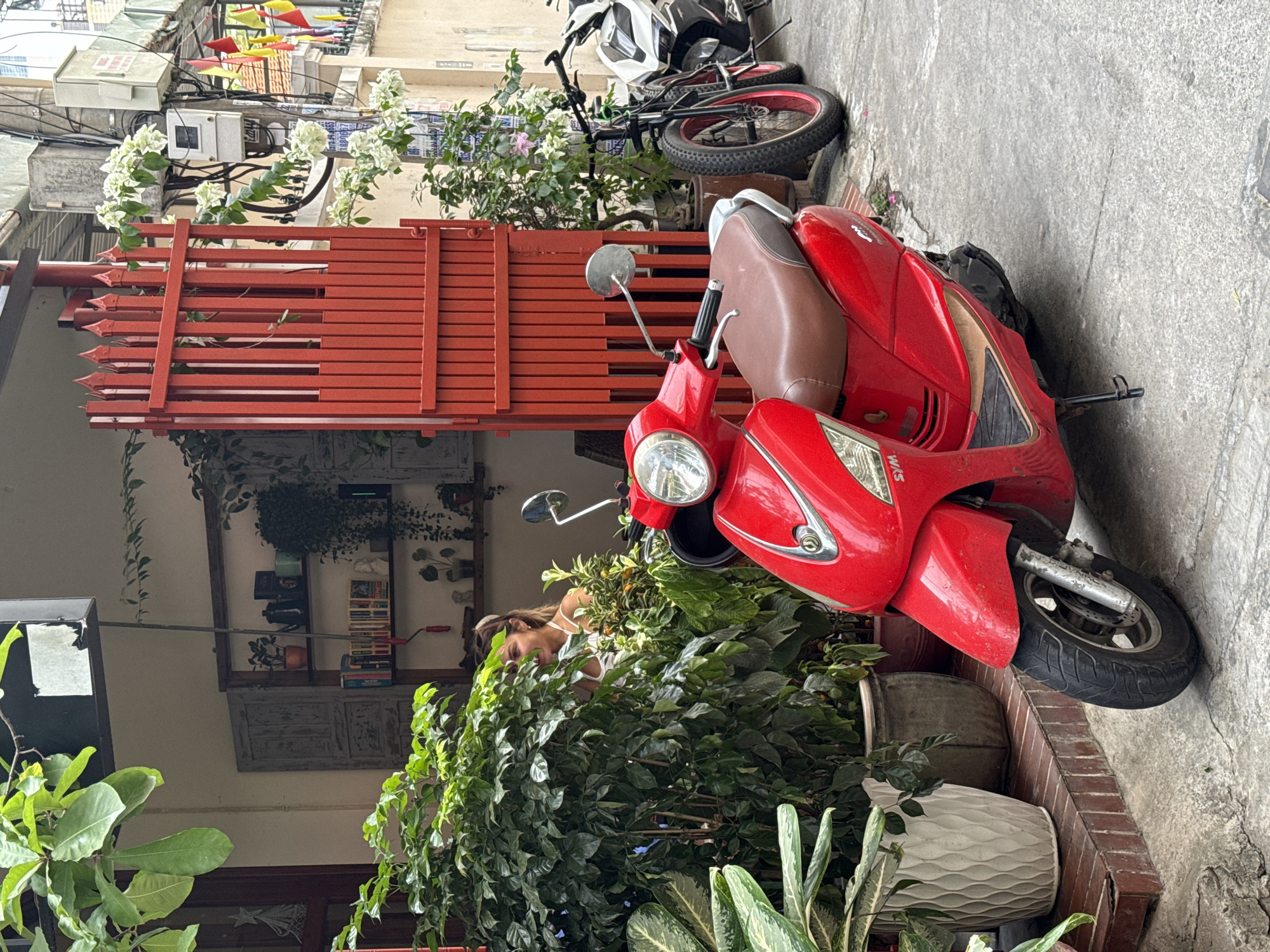 An eye-level outdoor shot captures a vibrant street scene, likely in an urban area of Nha Trang, Vietnam, featuring parked vehicles, dense foliage, and a glimpse into a building's entrance. The image is taken from a slightly elevated perspective, looking downwards towards a red scooter.
In the foreground, a bright red scooter with a brown seat is prominently parked on a grey concrete surface, angled towards the left. Its front wheel rests near a low brick planter filled with lush green plants, including some with patterned leaves in a large white decorative pot. Behind the scooter, a striking red gate or fence with pointed spires at the top provides a strong architectural element.
Behind this fence and amidst a profusion of green plants and white flowering bougainvillea, a person, possibly a woman with light brown hair and a white top, is partially visible, seemingly observing or tending to the plants. Further in the background, another white and black scooter and a bicycle are parked against a wall. The street appears to be narrow, with buildings lining both sides.
The building behind the main fence features shelves adorned with books, pots, and other decorative items, suggesting an inviting space like a cafe or shop. Overhead, tangled electrical wires crisscross, and colorful paper decorations (possibly small lanterns or umbrellas) are strung between buildings, adding to the local atmosphere. The lighting is bright and even, indicating daytime, possibly under an overcast sky. The only visible text is a partial "WKS" logo on the side of the red scooter. The scene suggests a lively yet green urban environment.
