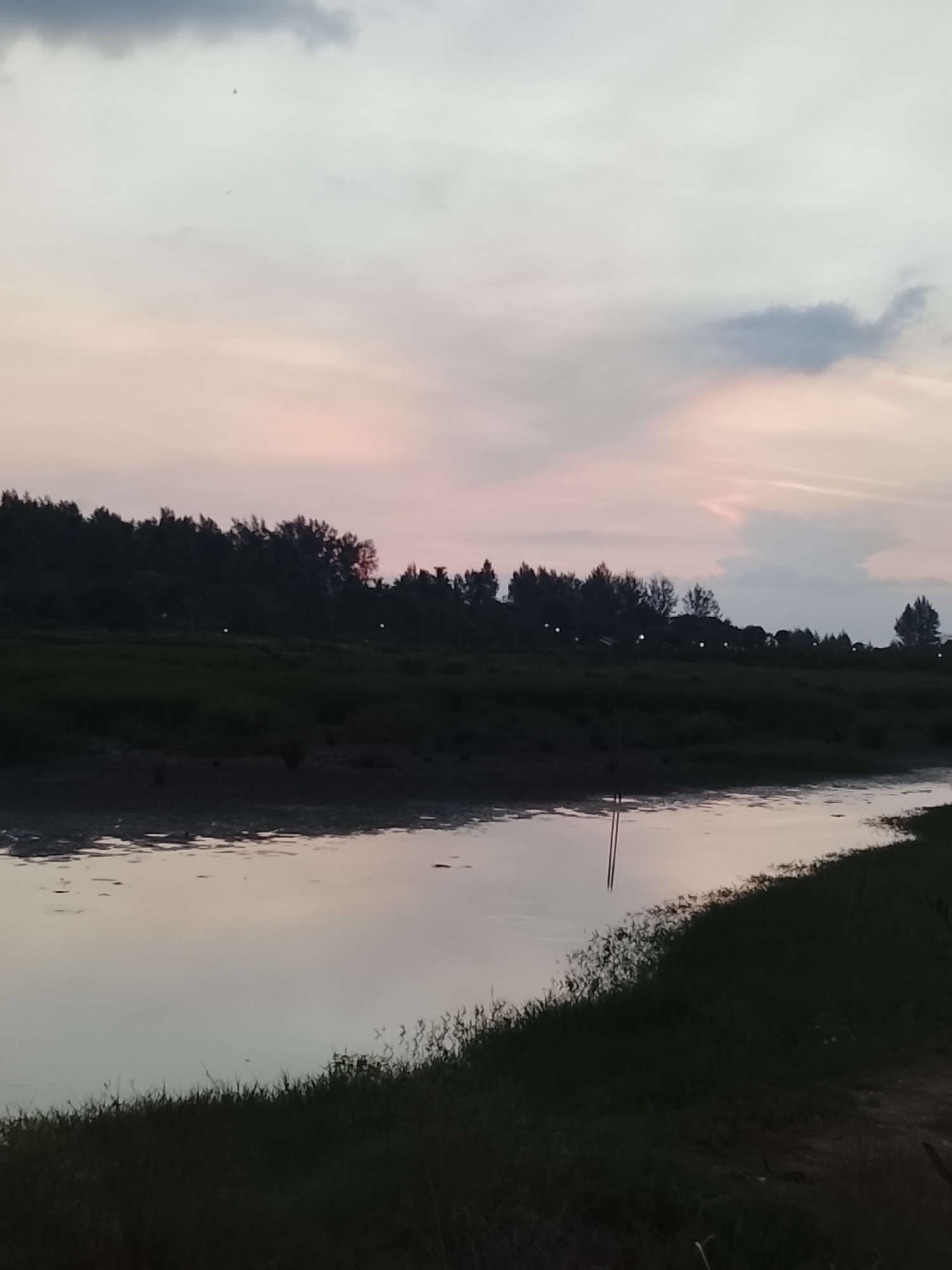 The image depicts a tranquil natural scene at dusk or dawn, likely near Reudeuep, Indonesia. The sky is a soft gradient of pale pink, lavender, and grey, with scattered clouds. A dark, silhouetted line of trees and vegetation forms the horizon. In the foreground, a calm body of water, possibly a river or estuary, reflects the muted colors of the sky. The water's edge is lined with dark vegetation, with some areas appearing muddy or dry. The overall impression is one of peacefulness and natural beauty, characteristic of a coastal or riverside environment at twilight. There are no visible people or distinct man-made structures, suggesting a natural landscape.