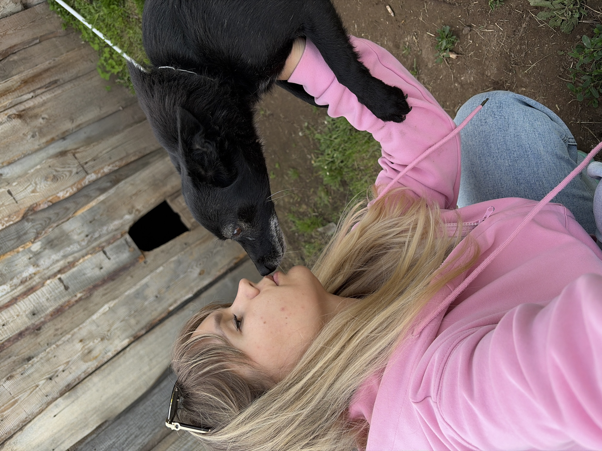 A young woman is lying down or reclining outdoors, looking up affectionately at a black dog. The dog is positioned above her, its front paws resting on her arm, and its nose is touching her lips in what appears to be a nuzzle or kiss. The woman has long blonde hair, which flows around her head, and she is wearing a pink hooded sweatshirt and blue denim jeans. She has a pair of sunglasses resting on her collar or head.
The setting is an outdoor, possibly rural or backyard environment. To the left and behind the woman, weathered wooden planks form a wall or ground structure, with a dark, rectangular opening visible in one of the planks. Green grass and patches of dirt are visible in the background, particularly to the right and upper parts of the image. A thin white string or wire runs across the upper left background. The lighting suggests it is daytime, with clear weather. The overall impression is one of a warm, affectionate interaction between a person and their pet in Чумна, Russia. There is no visible text in the image.