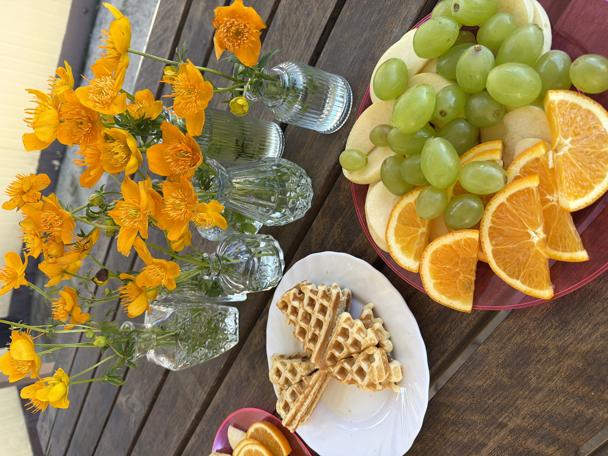 A close-up, high-angle, eye-level shot captures a table laden with a variety of food and floral arrangements. The scene is set on a wooden table. In the foreground, a pink plastic plate holds a colorful assortment of sliced oranges, green grapes, and apple slices. To the left, a white plate displays three waffles, some of which are broken. In the background, several small glass vases hold bright orange flowers. The wooden table surface exhibits a visible grain and texture. No people are present in the image, and no discernible activity is taking place. The lighting suggests it is daytime, with natural light casting soft shadows. The overall impression is one of a prepared meal or snack, possibly outdoors. The location is described as Birobidzhan, Russia.