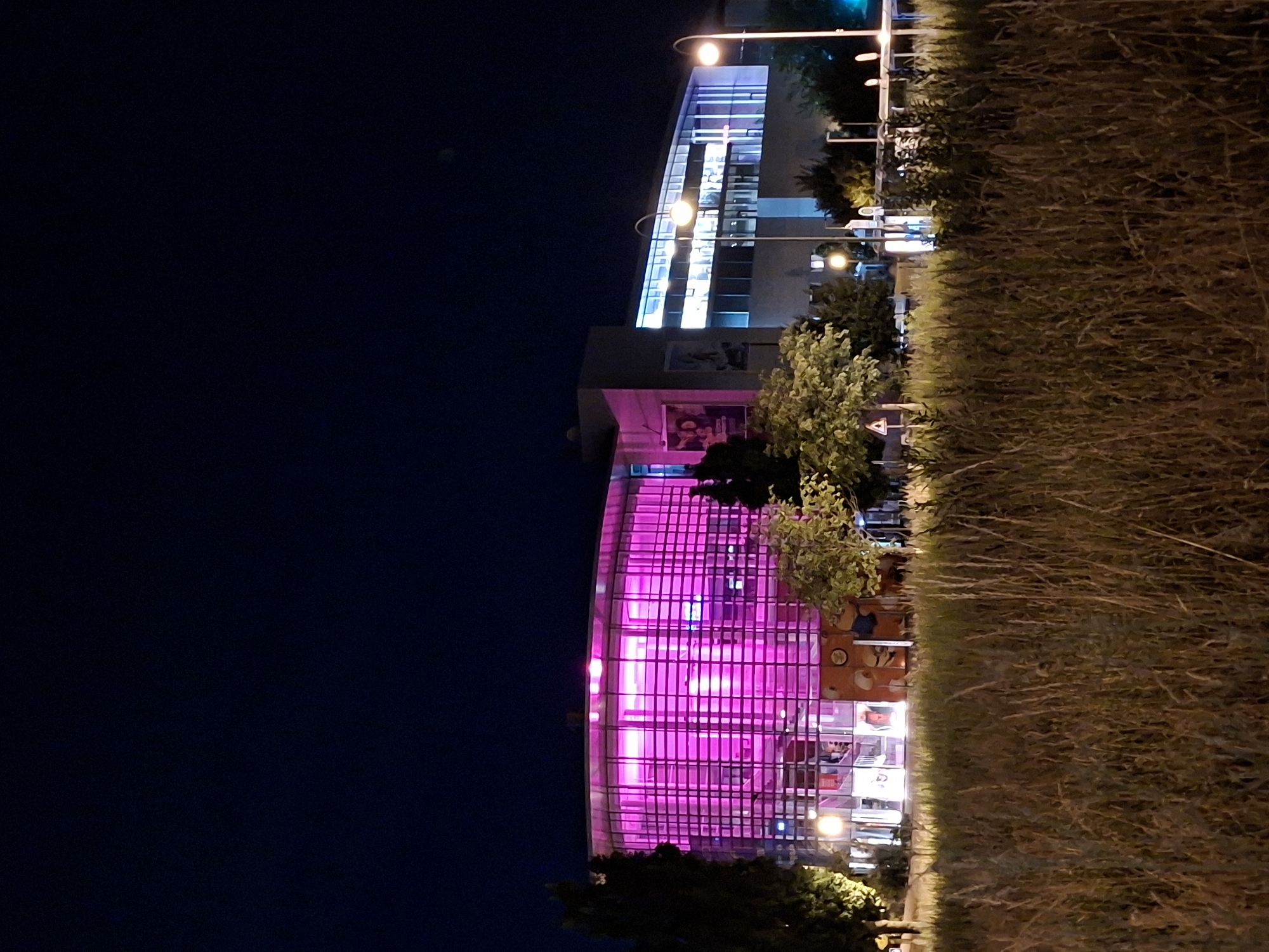 This is a night-time photograph of the Kulturhalle Remchingen, located in the city of Sinzheim, Germany. The building features a prominent, circular section with a glass facade illuminated by bright pink lights, creating a striking visual effect against the dark night sky. Adjacent to this section is a rectangular building with a more conventional facade, featuring windows illuminated with a cooler, blueish light. The foreground is dominated by a dense field of dry, tall grass. Several trees are visible on either side of the building, their foliage partially silhouetted against the illuminated structures. Streetlights with visible lamps are positioned along the property line, casting pools of light. The overall scene depicts a modern cultural building at night, highlighted by artificial lighting and framed by natural elements.