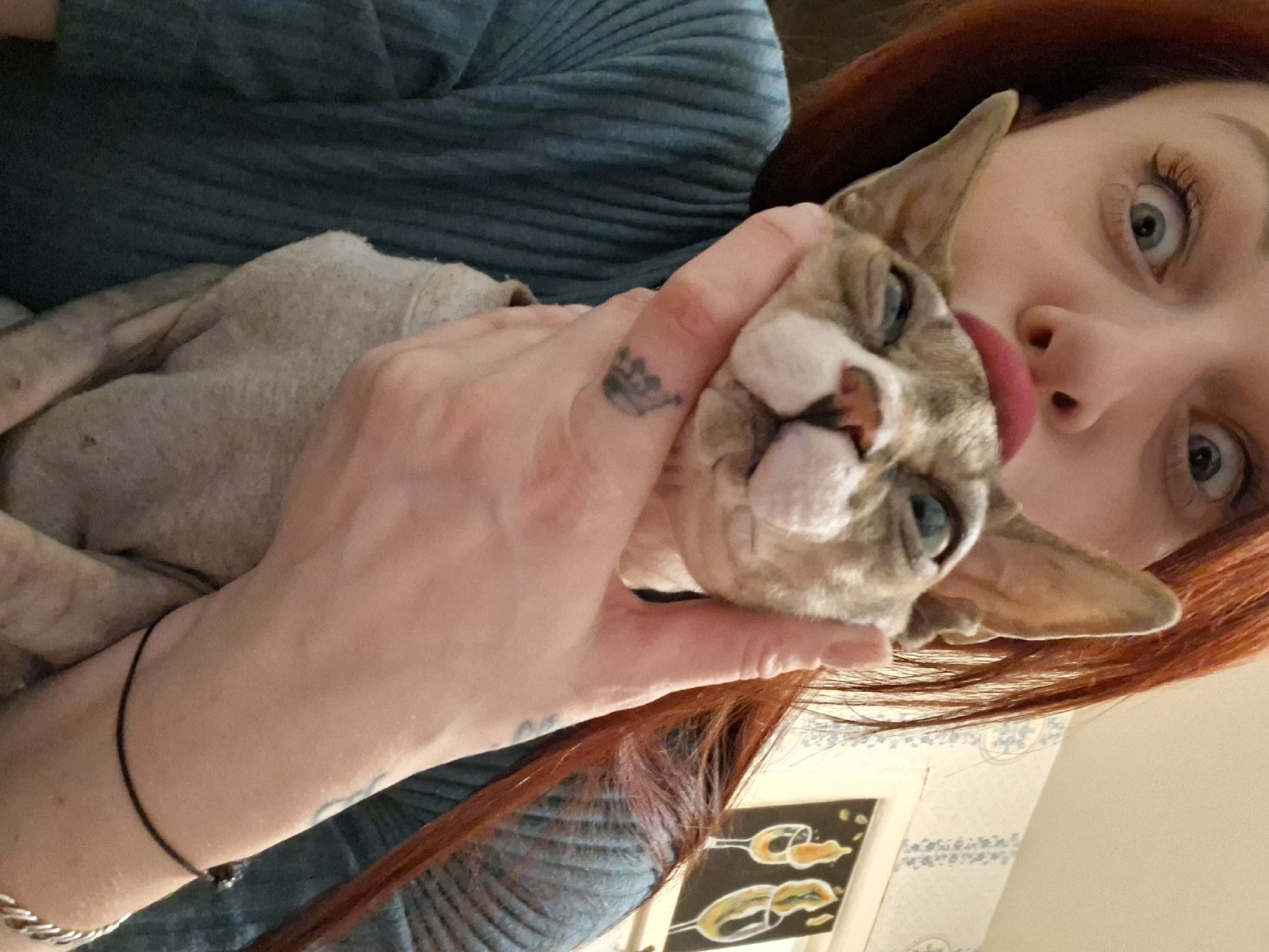 A woman with red hair is holding a Sphynx cat up to her face. The cat has blue eyes and is sticking its tongue out. The woman is wearing a blue shirt and has tattoos on her hand and arm. Behind her is a wall with a painting of two glasses of wine. The location is unknown.
