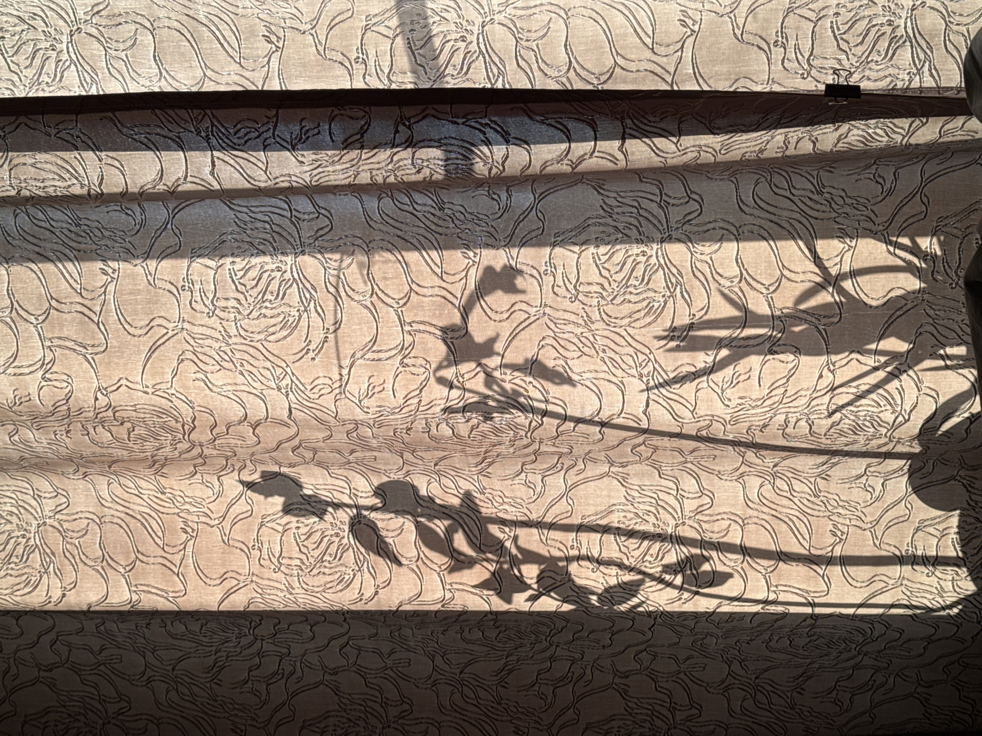 The image shows a section of a brown patterned surface with a shadow of a plant or branch cast across it. The patterned surface appears to be a curtain or textured fabric. There are horizontal lines, possibly slats or folds in the fabric, casting additional shadows. A small black clip is visible attached to one of the horizontal folds. The location, Izhevsk, Russia, is not discernible from the visual information provided.