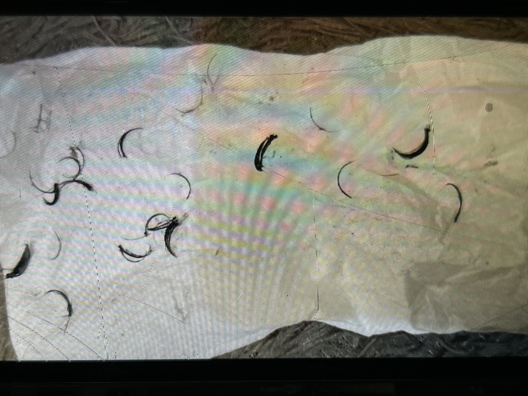 The image is a close-up, high-angle shot of several black eyelash extensions scattered across a piece of white paper that has a rough texture. The paper is placed on a surface that appears to be a person's lap or clothing, suggested by the dark, textured fabric visible in the lower left and right portions of the frame. The lighting is overhead and somewhat diffuse, creating soft shadows. The image has a significant amount of digital noise and horizontal lines, indicative of a low-resolution or poorly captured photograph, possibly taken with a phone camera at an unusual angle. The environment appears to be indoors, likely a personal grooming area, given the context of eyelash extensions. The specific location in Depok, Indonesia, cannot be determined from the visual information provided in the image.
