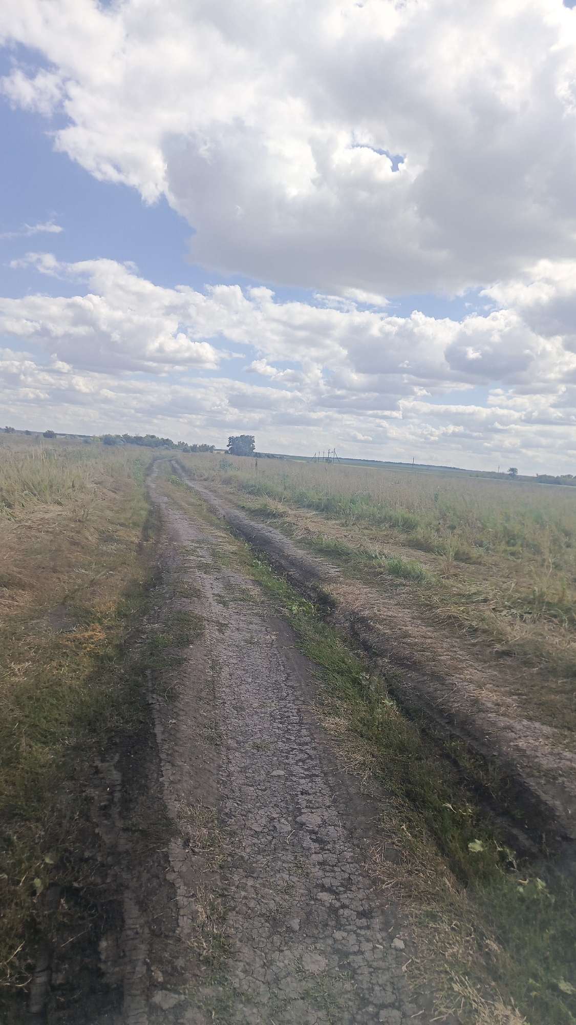 The image depicts a dirt road cutting through a dry, grassy field under a partly cloudy sky. The road is rutted and appears to be well-traveled. In the distance, there is a solitary tree and some sparse vegetation. The overall impression is one of a rural, somewhat desolate landscape. The image location is the village of Karyakino, Russia.