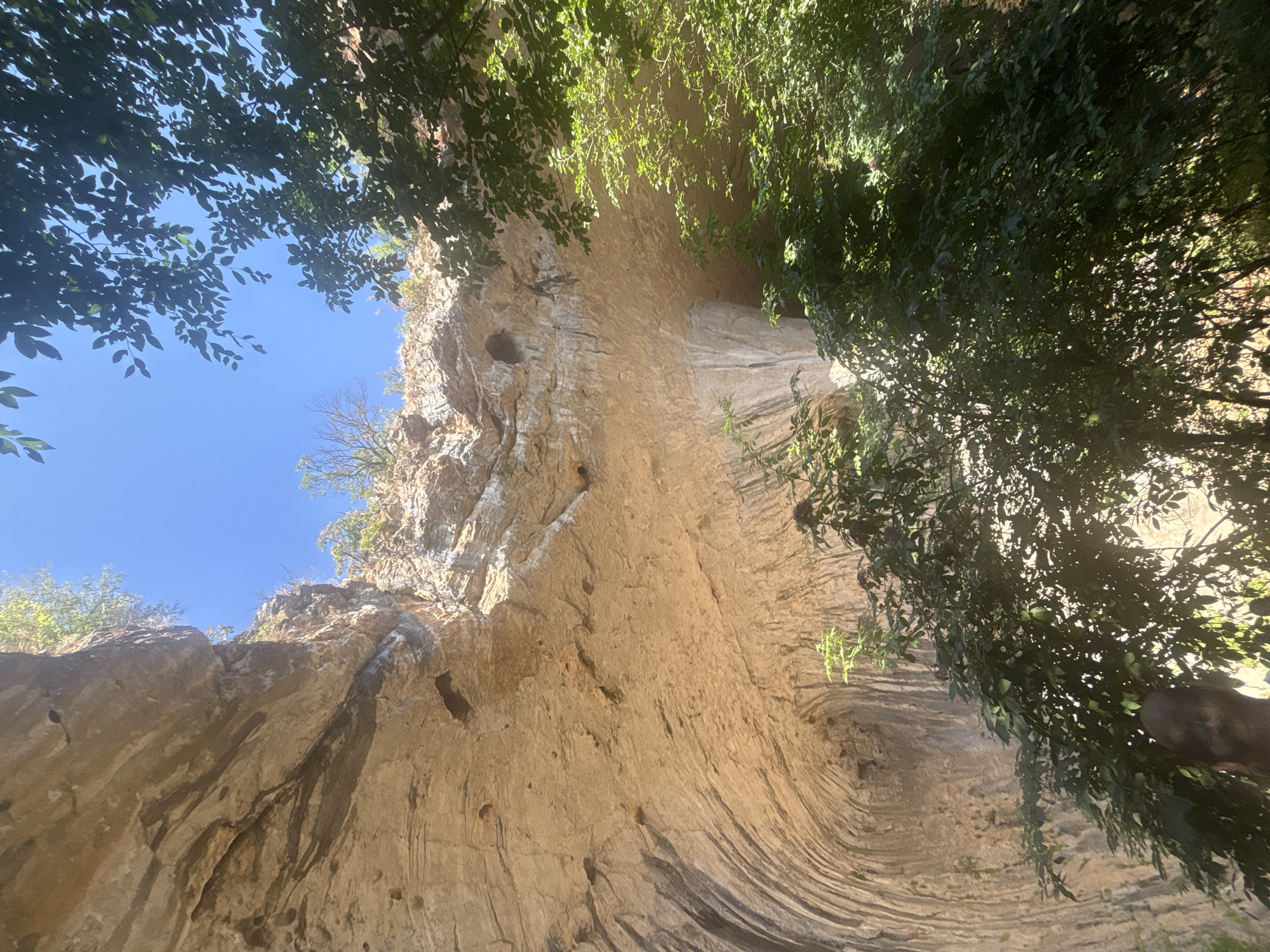 The image depicts a natural rock formation, likely a cave entrance or an overhang, bathed in sunlight. The rock face is textured with horizontal striations and pockmarked with small holes. Lush green foliage obscures parts of the foreground and right side of the frame, with sunlight filtering through the leaves. The sky is a clear, bright blue. In the lower left quadrant, a portion of a person's head and shoulder, visible from behind, suggests a visitor at the location. This natural landmark is part of the Karlukovo Karst region in Bulgaria, known for its numerous caves and rock formations.