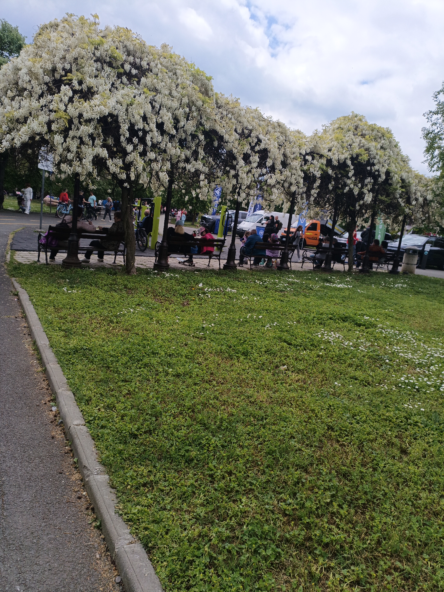 The image shows a park scene, likely in the city of Burgas, Bulgaria. Several benches are placed under flowering trees, forming a shaded seating area. People are sitting and relaxing on the benches. In the background, there is a pedestrian path with individuals walking and cycling. A variety of vehicles including cars and vans, are parked on the adjacent street, some of which may be part of an event. The foreground features a grassy lawn with small white flowers. The weather appears cloudy.