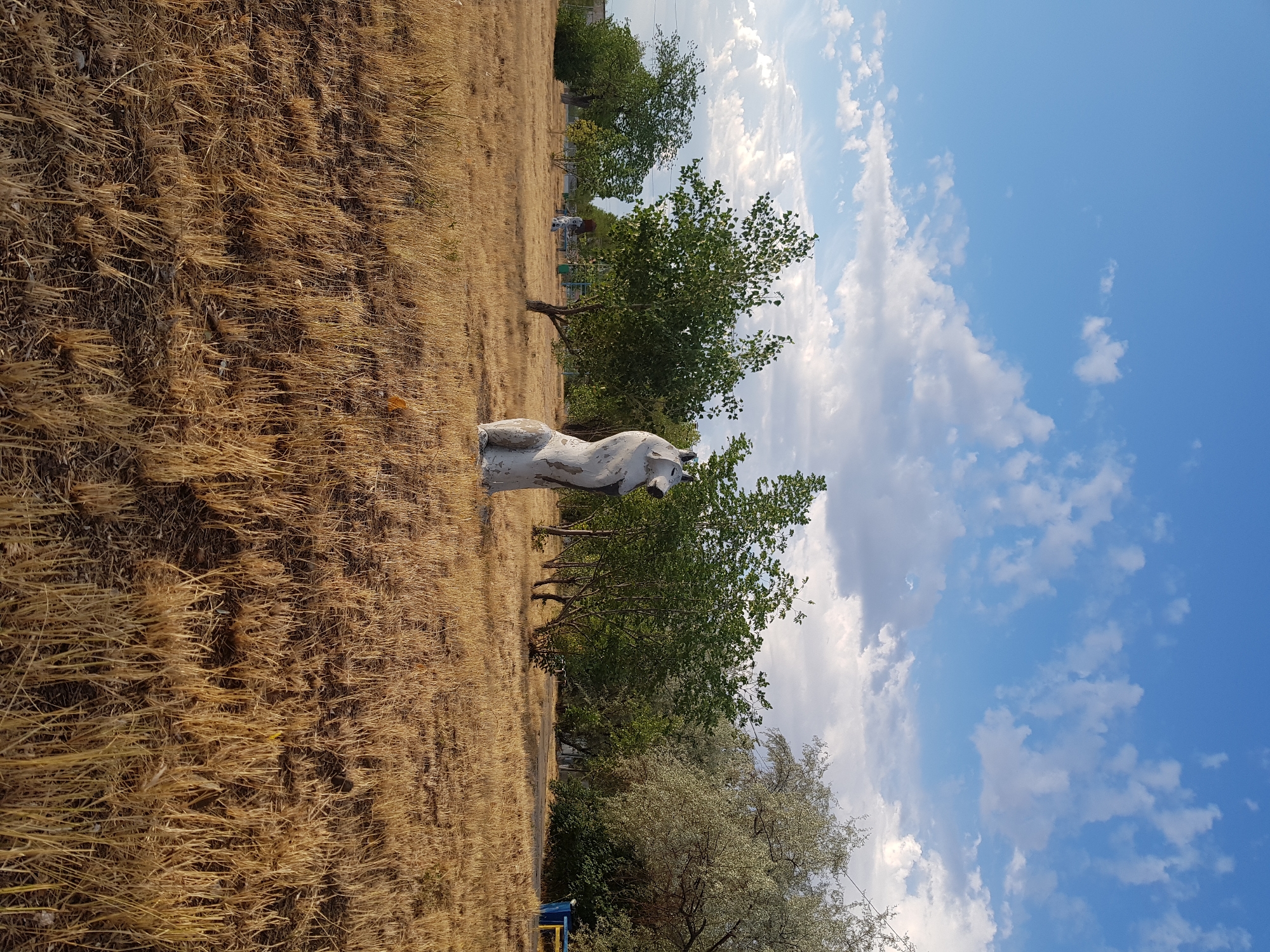 The image shows a concrete sculpture of a seated dog in an outdoor area with dry, yellow grass. Several trees with green foliage are scattered around the sculpture. In the background, there are more trees and a bright blue sky with white clouds. A blue bench is visible on the right side of the image. This scene is located in Kurchatov, Kazakhstan.