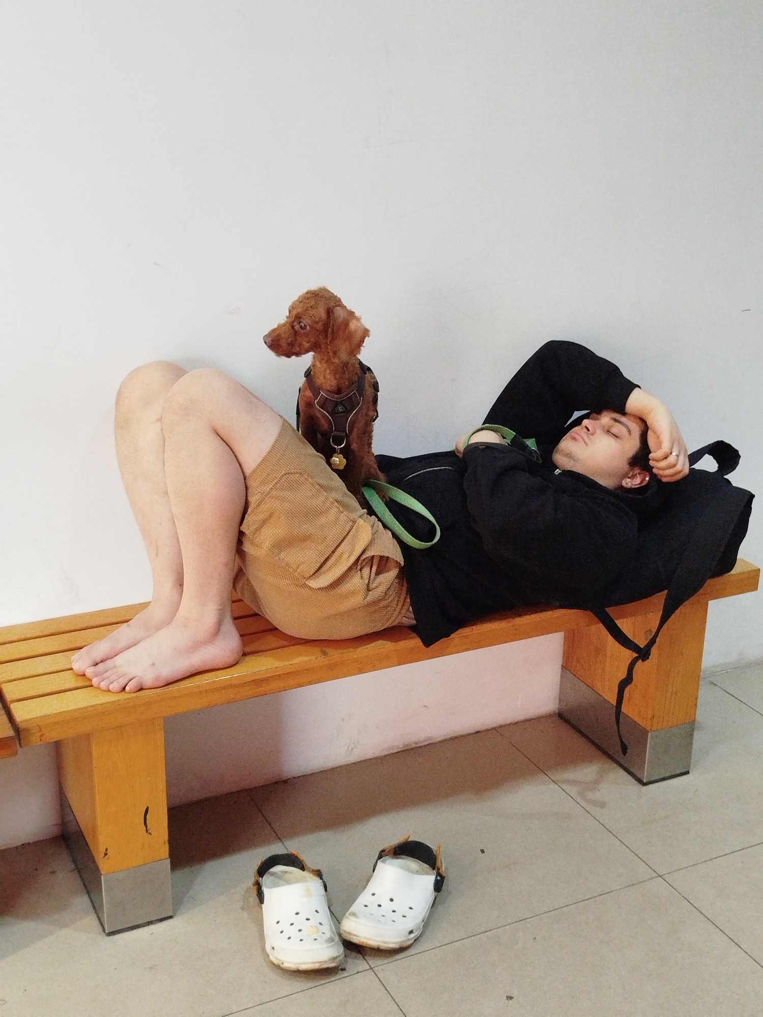 A man and a dog are resting on a wooden bench against a white wall. The man is lying on his back, with his head resting on his left hand and his eyes closed. He is wearing a black jacket. A small, brown poodle sits attentively next to the man's legs, wearing a brown harness with a hanging tag and a green leash. The man is wearing tan shorts and is barefoot, with his white Crocs shoes on the floor in front of the bench. The bench is made of light brown wood. The floor is tiled. A black backpack is behind the man.
Location information is missing from the image.