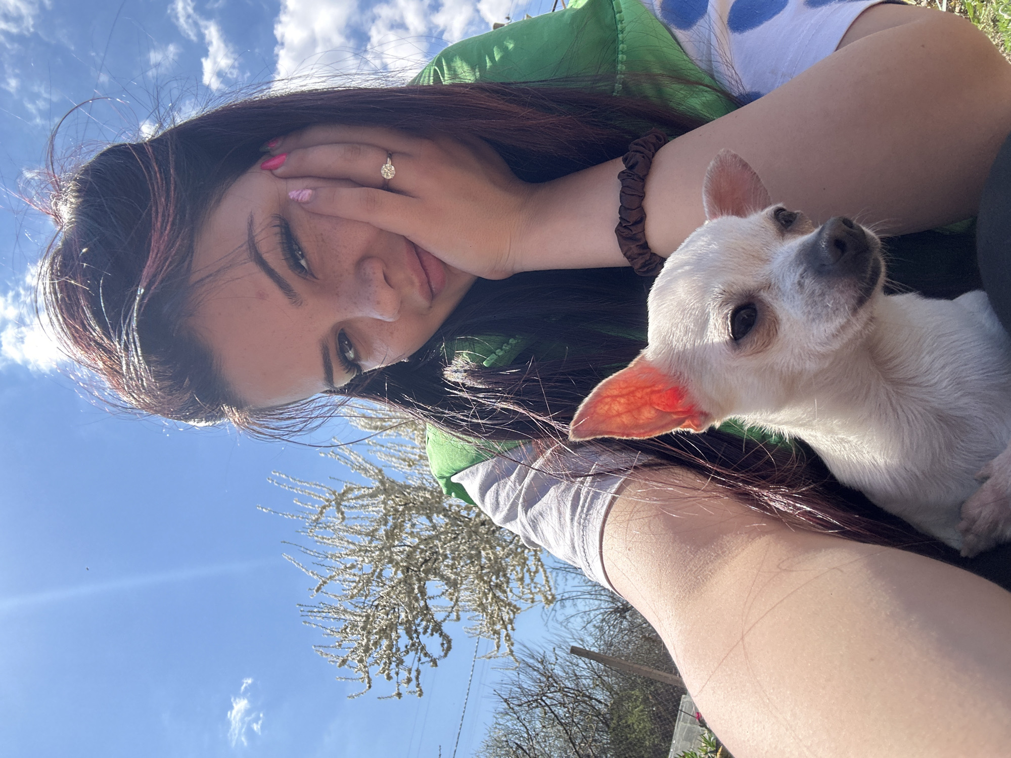 A young woman with long, dark auburn hair is holding a small, white Chihuahua dog. She is wearing a green shirt and a white top with blue polka dots. The woman has a ring on her finger, freckles, and painted fingernails, and a hair tie around her wrist. She is partially covering her face with her hand. The dog is looking towards the camera. The background shows a blue sky with some clouds, trees, and possibly a blossoming bush. The location is most likely outside. There is no evidence to determine if the photograph was taken in Chubra, Bulgaria.