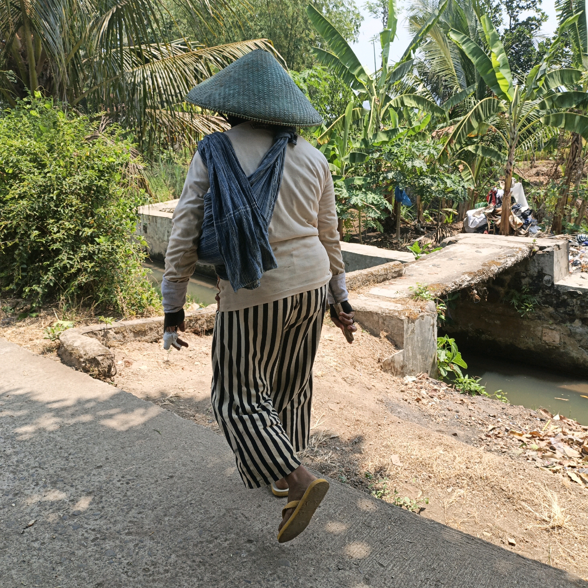 The image shows a person from behind, walking on a concrete path in a rural area, likely in Mangli, Indonesia. The person is wearing a conical hat, a light-colored long-sleeved shirt, and striped pants with black and beige vertical stripes. A dark blue patterned cloth is draped over their shoulders. They are also wearing yellow flip-flops and black gloves. In their right hand, they are holding a small object, possibly a tool. The path is bordered by dry vegetation and a narrow, murky canal on the right. Beyond the canal, there is dense green foliage, including banana trees and palm trees, characteristic of the tropical environment. A small, rough concrete bridge crosses the canal in the background, with some debris visible on its edge and in the surrounding area. The lighting suggests it is daytime, with shadows of trees visible on the path.