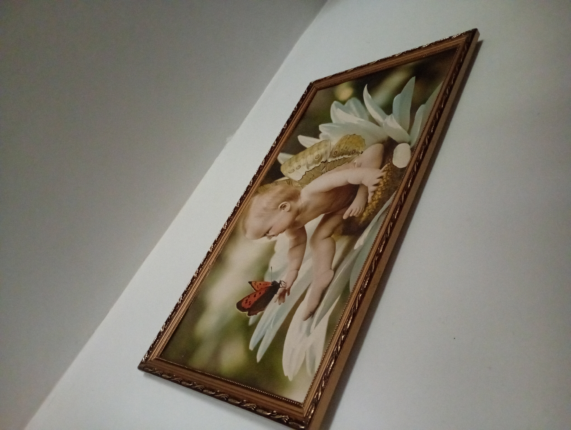 A framed picture hangs on a white wall, angled slightly upwards. The painting depicts a cherubic baby with feathered wings sitting on a large white flower. A reddish-brown butterfly with black markings is perched on the baby's outstretched hand. The picture frame is ornate and gold-colored. The image appears to be taken indoors, possibly in a residential setting in Horishni Plavni, Ukraine.