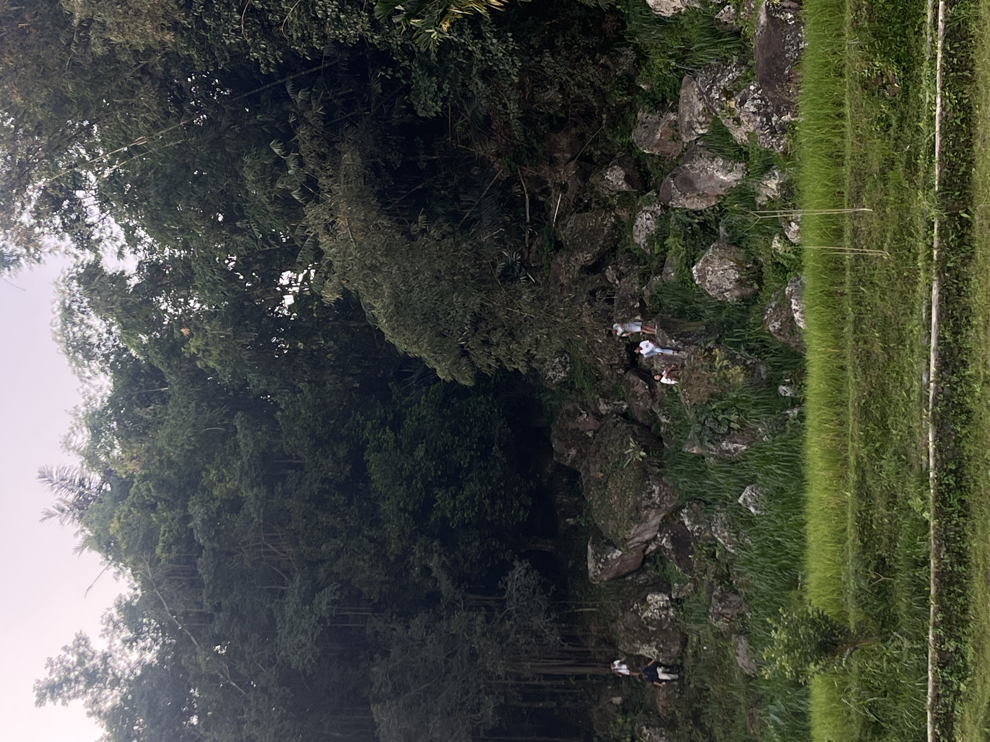 This image depicts a scenic view of a terraced rice paddy in Tetebatu, Indonesia, with a steep, rocky hillside covered in lush vegetation and trees in the background. Several people are visible on the rocky slope, appearing to be exploring or resting. The foreground features vibrant green rice fields, with a stone wall or boundary running along the bottom edge of the frame. The hillside is dotted with large boulders, some covered in moss, and dense foliage, including trees and bamboo. The sky is overcast. The scene suggests a natural landscape with human presence, indicative of a popular spot for recreation or sightseeing in Tetebatu.