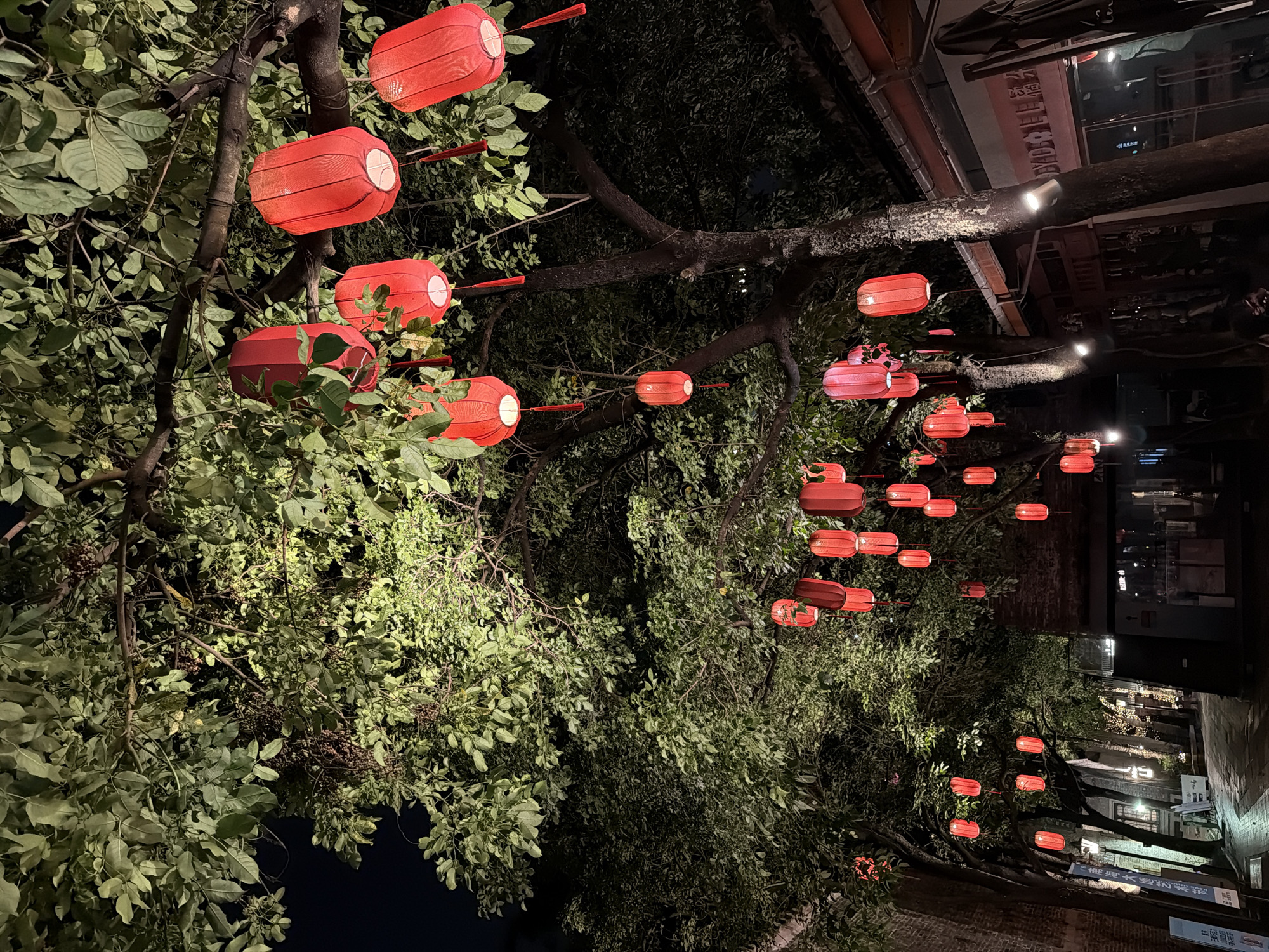 An outdoor night scene captures a street lined with trees adorned with numerous bright red lanterns. The lanterns, varying slightly in size and shape, hang from the branches, creating a festive and warm ambiance. The foliage of the trees is dense and green, illuminated by the light of the lanterns and possibly from unseen light sources. The background reveals glimpses of traditional Chinese architecture, with brick buildings and tiled roofs. The street itself appears to be paved, with some areas reflecting light, suggesting it might be wet. There are no visible people or animals in the frame, and no discernible activity is taking place. The overall impression is one of a tranquil, decorative nighttime streetscape in Chancheng District, China, likely a commercial or historical area.