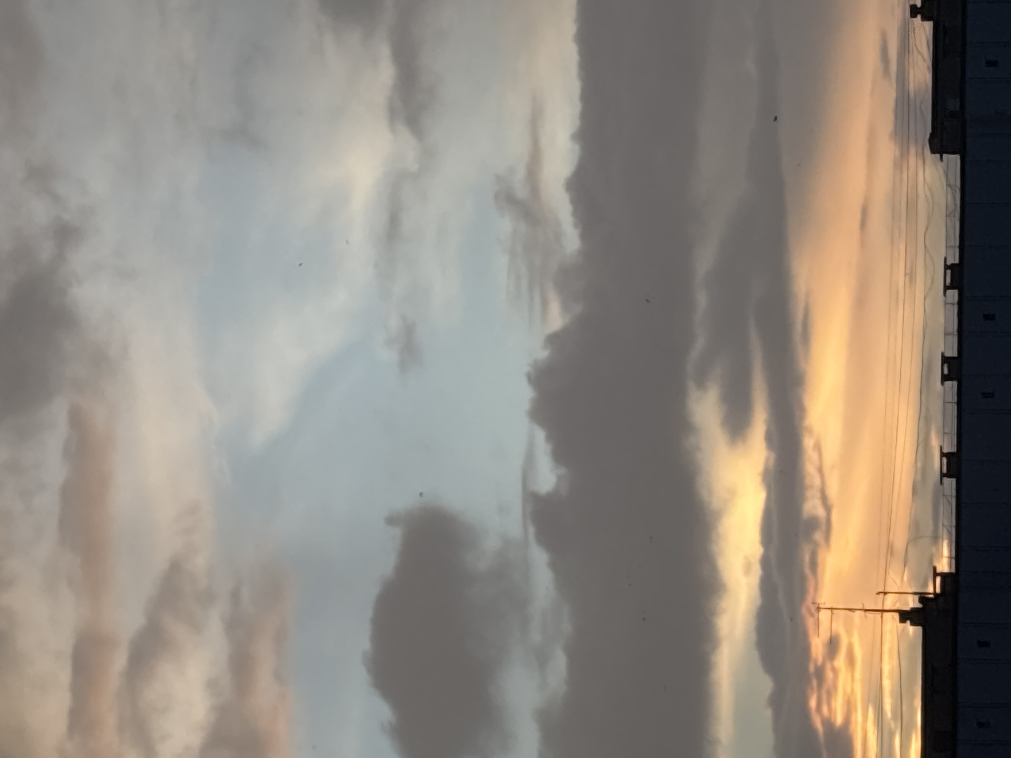 The image captures a dramatic sky scene, likely at either sunrise or sunset, over Chaikovsky, Russia. The sky dominates the frame, showcasing a striking interplay of colors and cloud formations.
On the left side of the frame, the sky features soft blue-gray and darker gray clouds, appearing somewhat diffused and scattered. Towards the right, a more prominent, dense band of dark, heavy clouds stretches across vertically. Beyond these dark clouds, the sky transitions into a vivid display of warm hues, with radiant oranges, yellows, and golden light illuminating a portion of the horizon. This bright section suggests the low angle of the sun, casting a soft glow.
Along the bottom edge of the image, the silhouette of a building or industrial structure is visible. It appears multi-storied with defined rectangular sections or windows, starkly dark against the bright sky. Several utility lines or cables, along with what look like antennas or poles, extend from this structure, crisscrossing the lower portion of the warm-toned sky. Small, dark specks, possibly distant birds or dust, are scattered throughout the cloudy sky.
The overall mood is serene yet dynamic, highlighting the beauty and contrasting elements of a cloudy sky during the golden hour. No visible text is present in the image.