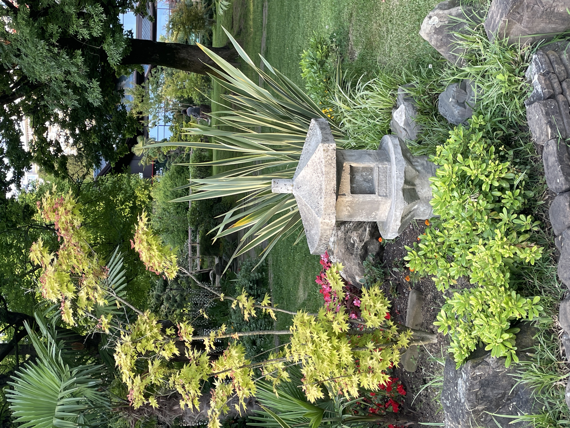This is a photograph of a Japanese garden in Sochi, Russia. The foreground features a stone lantern, surrounded by green foliage and rocks. Behind the lantern, a Japanese maple tree with bright yellow and pink leaves stands tall. In the mid-ground, there are tall, thin green plants with white stripes, and a variety of other greenery, including red flowers. A person can be seen in the background, sitting on a bench. The environment is lush and green, with trees and buildings visible in the distance.