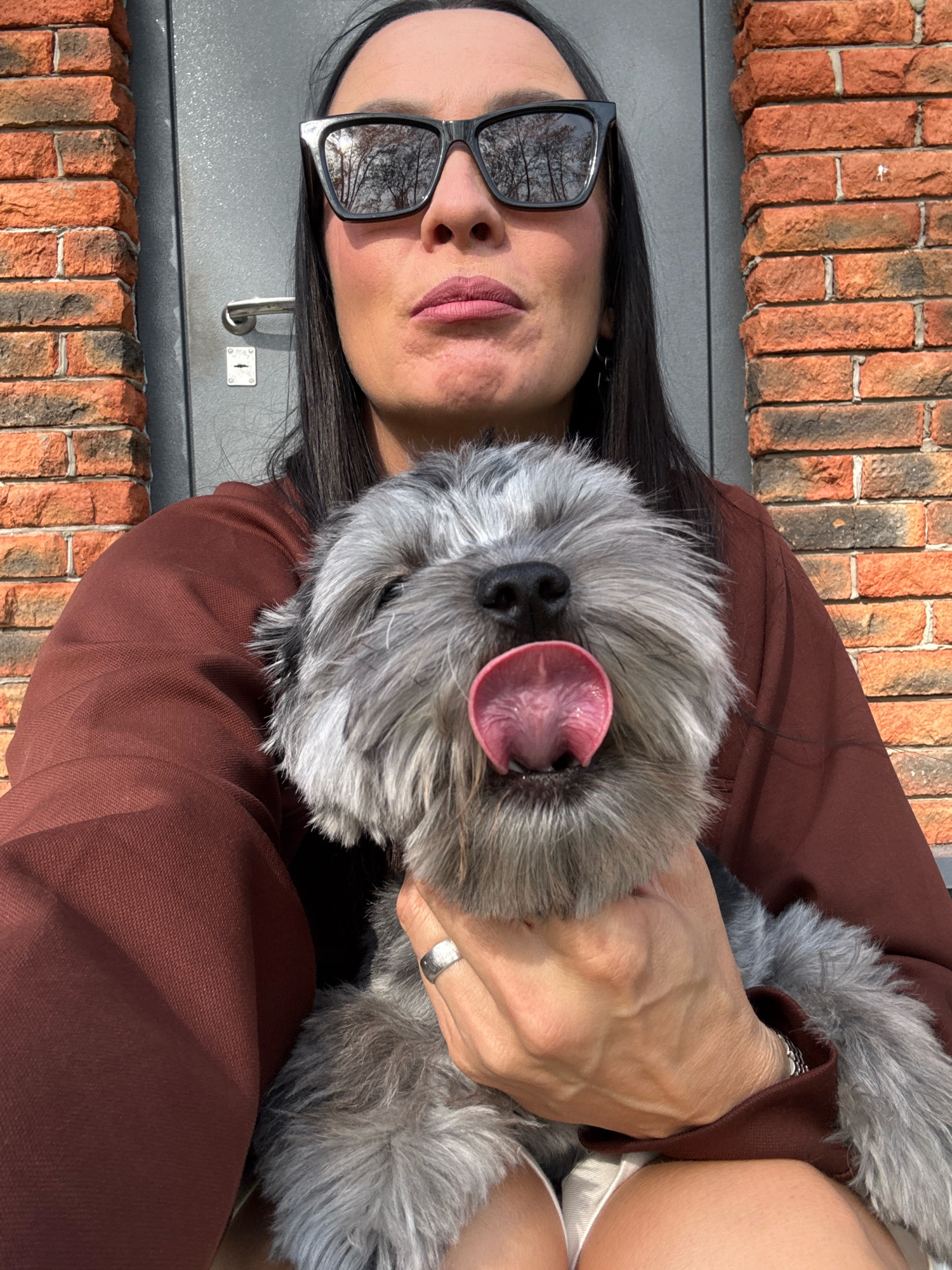 A medium shot shows a person holding a schnauzer dog on a sunny day, in front of a brick wall and a metal door. The person, who is not fully visible, has dark hair and is wearing sunglasses and a brown sweatshirt. The dog has gray fur and its tongue is sticking out. The scene appears to be outdoors, possibly in a courtyard or residential area. The location is identified as Chaikovsky, Russia.
