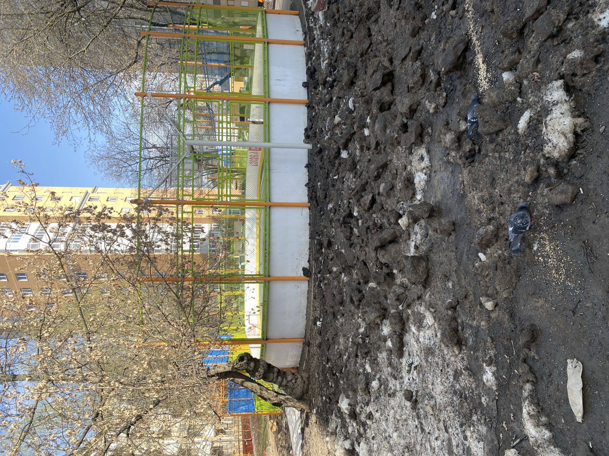 The image depicts an outdoor scene in what appears to be a transitional season, likely late winter or early spring. The foreground is dominated by muddy ground, interspersed with melting patches of snow and debris, including scattered seeds or grains, a plastic bottle, and a discarded can. Two pigeons are visible on the ground, seemingly feeding.
Beyond the muddy area is a playground with orange and green metal structures. A bare tree with budding branches stands on the left side of the image, partially obscuring the playground. In the background, a multi-story yellow building is visible under a clear blue sky. Based on the visual characteristics, this scene is highly plausibly located in the city of Khimki, Russia.