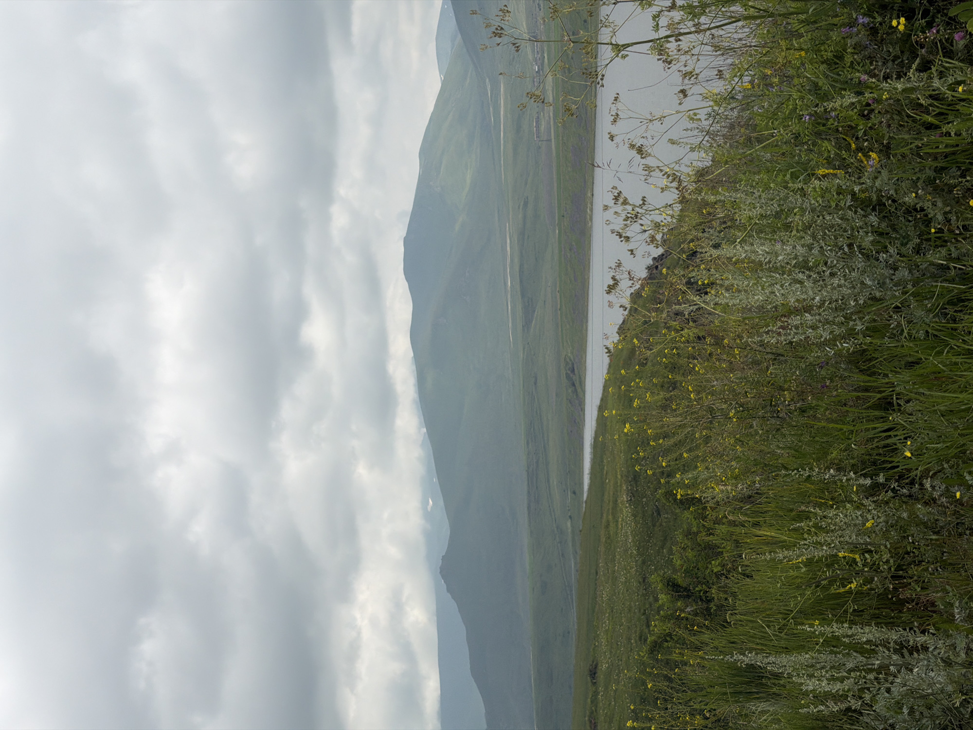 An overcast sky looms over a vast, green landscape. In the foreground, tall grasses and wildflowers, predominantly yellow, grow densely. A body of water, possibly a reservoir, stretches across the middle ground, reflecting the muted light. Beyond the water, rolling hills and distant mountains dominate the horizon, their peaks shrouded in a soft haze. The scene appears to be a natural landscape, possibly a rural area near Gorayk, Armenia, with no human presence or activity immediately evident. The overall mood is serene and natural, with the cloudy sky suggesting cooler weather.
