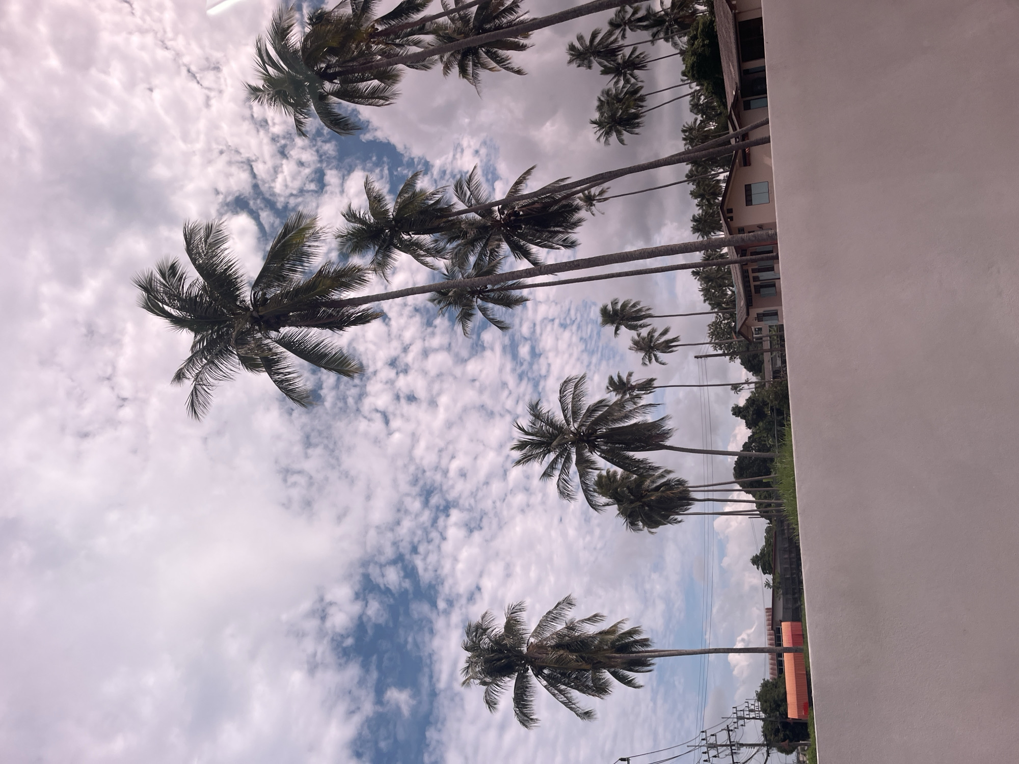 The image depicts a view of several tall coconut palm trees against a cloudy sky. In the background, there are some low-rise buildings and electrical poles. The foreground features a textured, light-colored wall. The scene appears to be located in Rawai, Thailand, a coastal district known for its palm trees and beach resorts. There are no people or animals visible in the frame. The overall atmosphere is tropical and serene.