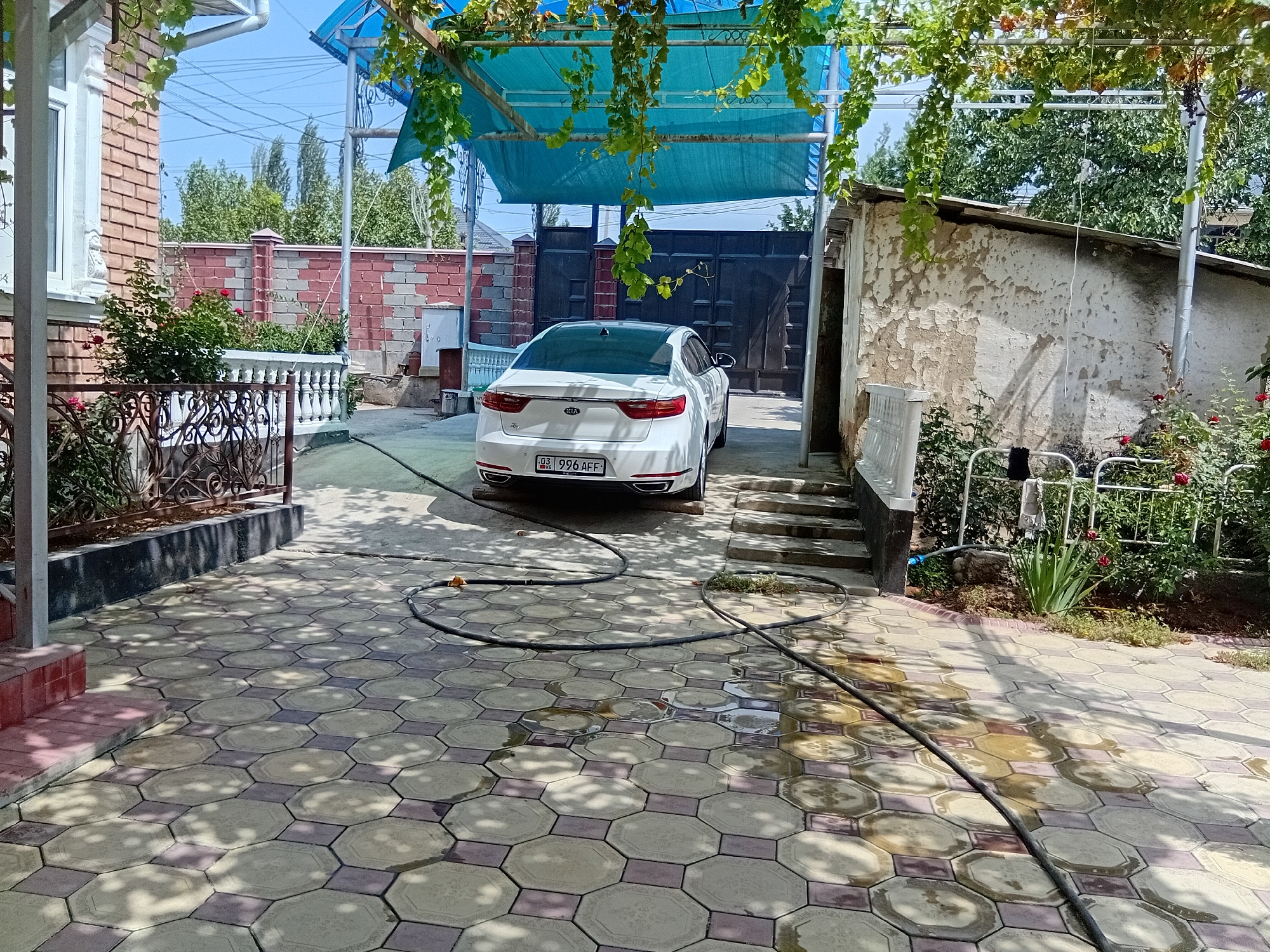 In Kadamjay, Kyrgyzstan, a white Kia sedan is parked on a patterned paved driveway under a blue canopy. The car, license plate KG 996 AFF, faces away from the viewer towards a dark metal gate. A black hose snakes across the driveway, partially coiled near the car and extending towards the right of the frame. The driveway is bordered by a white ornate fence and a brick wall on the left, and a weathered stone building with peeling paint on the right. Greenery, including vines hanging from the canopy and rose bushes, is visible throughout the scene. The sun casts dappled shadows on the wet pavement.
