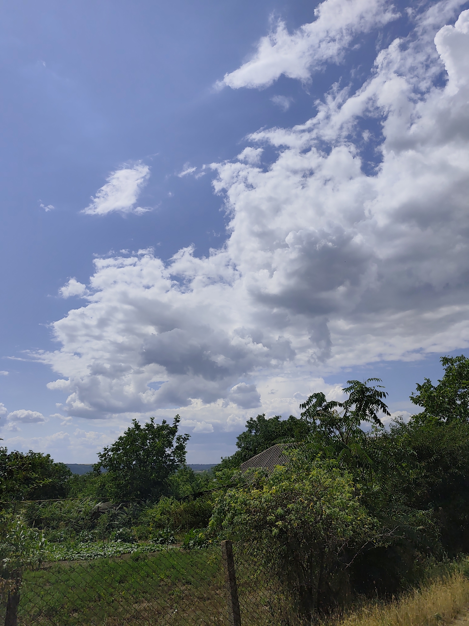 This is an outdoor, eye-level, vertical shot of a lush, green landscape beneath a cloudy blue sky. The foreground is dominated by a wire fence, with dry, yellow grass to the right of it and a garden with rows of plants to the left, including what appears to be corn stalks. A small, gray-roofed building is partially visible behind dense foliage and trees. The trees are a vibrant green, with some appearing to be much taller than others, creating a layered effect against the sky. The sky itself is a bright blue, filled with large, fluffy white clouds, some of which are tinged with gray, suggesting they might be carrying rain. The sunlight filtering through the clouds creates a dynamic interplay of light and shadow on the landscape. The overall impression is one of a rural, peaceful setting, likely in the countryside of Goyany, Moldova, on a day with mixed weather conditions, possibly late morning or early afternoon. There is no visible text in the image.