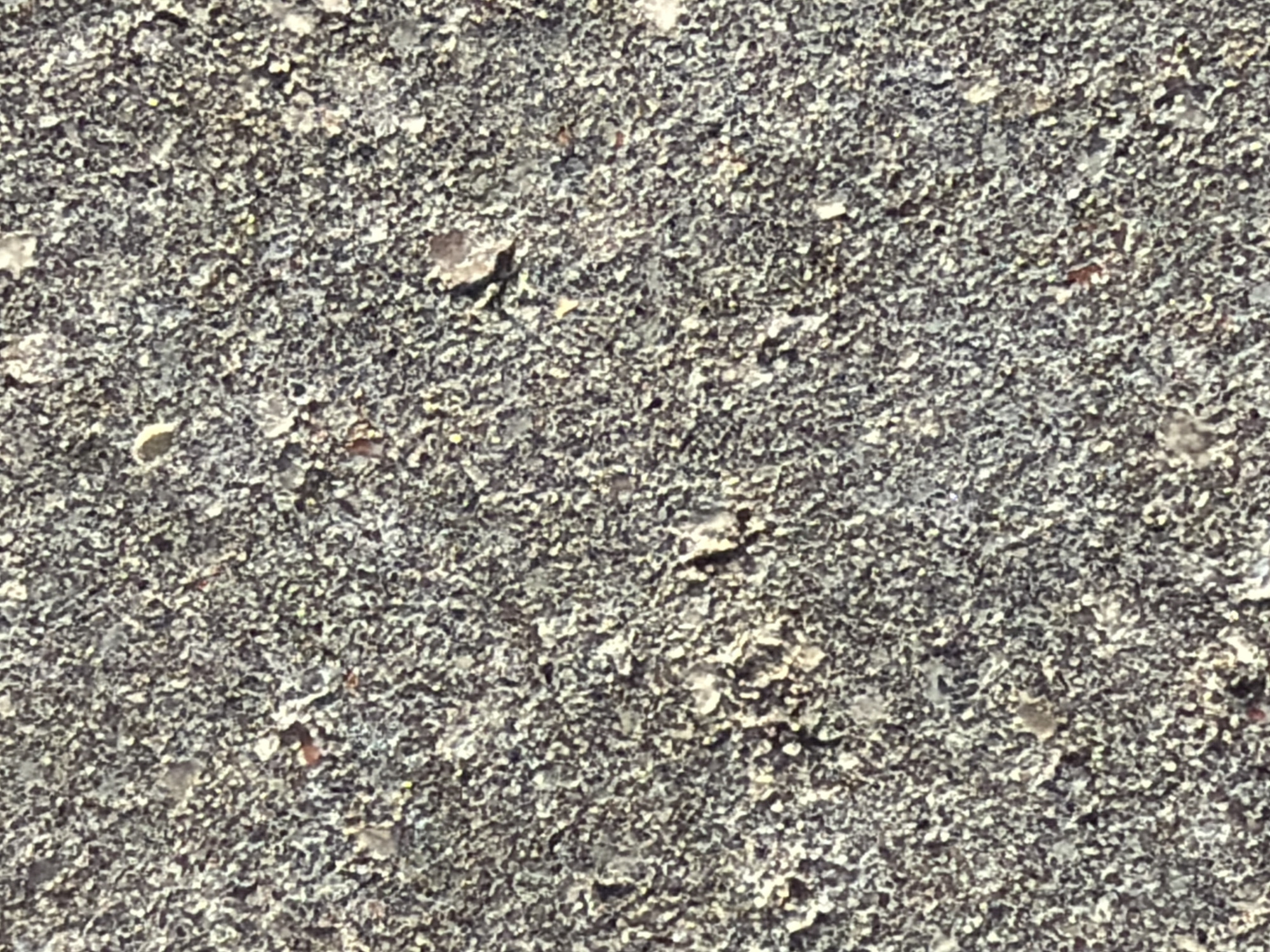 The image is a close-up, top-down view of a grey, granular surface, likely asphalt or concrete, with visible small stones and variations in texture. There are no people, objects, or discernible actions or interactions present. The image does not contain any contextual information that would allow for its location to be determined within the city of Kaliningrad, Russia, or any other specific location.