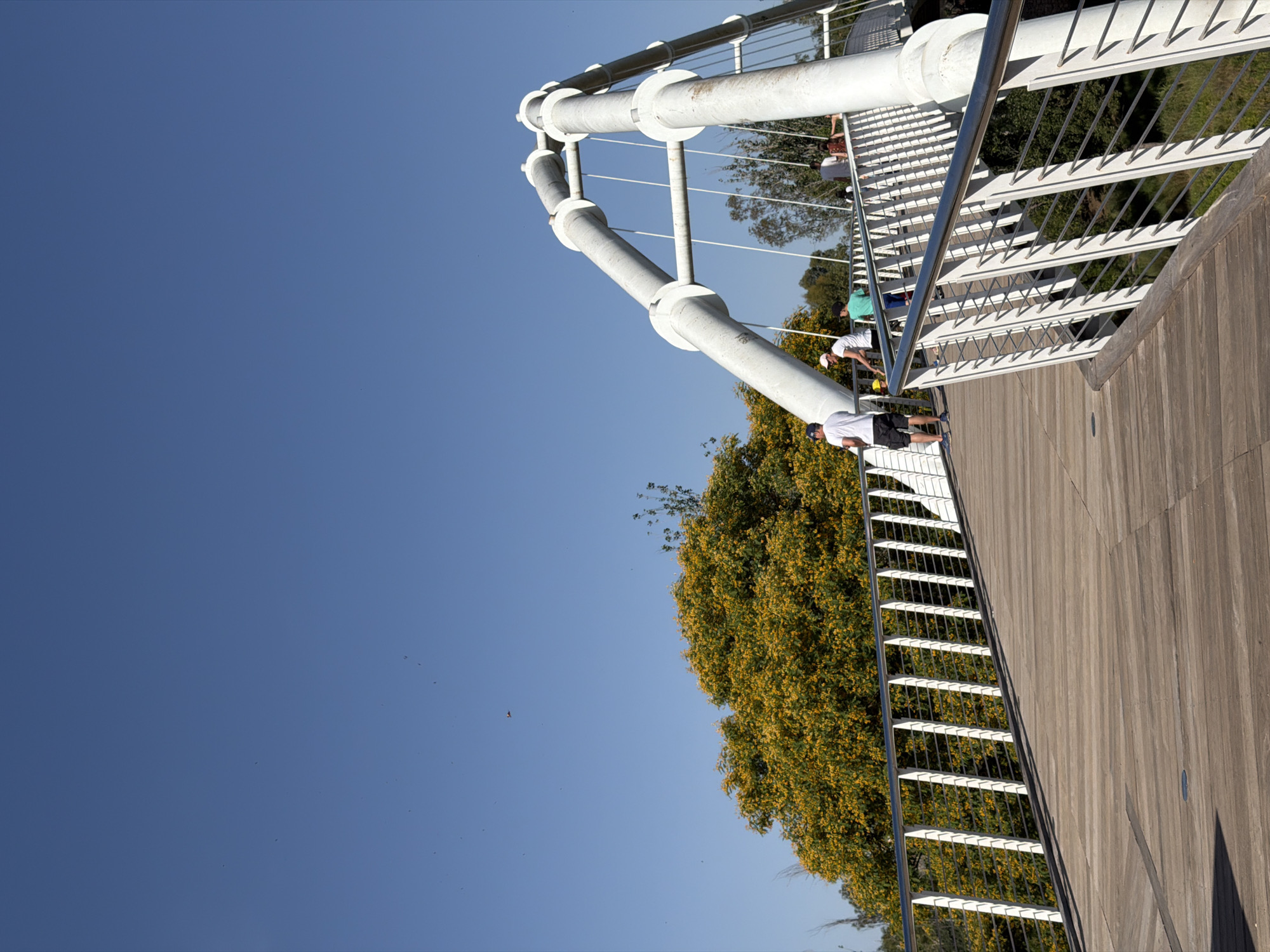 The image captures a contemporary pedestrian bridge with a distinctive white arch structure made of large cylindrical pipes and supporting cables. The bridge deck is made of wooden planks. Several individuals are visible on the bridge, appearing to be walking or standing. On the left side of the bridge, two men are walking, one wearing a white t-shirt and black shorts, the other in a white cap and t-shirt. Further along, a person in a green t-shirt and dark pants is visible. In the distance, more figures are seen on the bridge. The bridge is surrounded by lush green trees, with a prominent tree displaying a dense covering of yellow flowers to the left. The sky above is a clear, vibrant blue with a few faint dark specks, possibly birds or insects. The scene appears to be set in a park or outdoor recreational area.