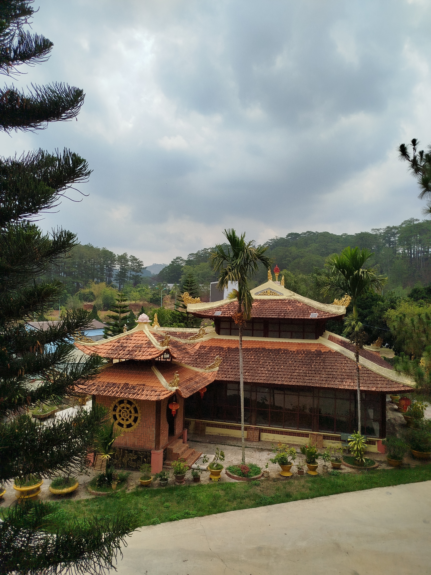The image showcases an elevated perspective of a building in Da Lat, Vietnam. The building exhibits traditional Vietnamese architectural elements with a tiled, multi-tiered roof, ornate gold decorations along the roofline, and a circular emblem on an adjacent structure. Palm trees frame the building. A variety of potted plants and greenery are arranged around the building's perimeter. Background: a landscape of pine-covered hills and a cloudy sky. A pine tree occupies the left foreground of the image. The foreground presents a concrete surface.