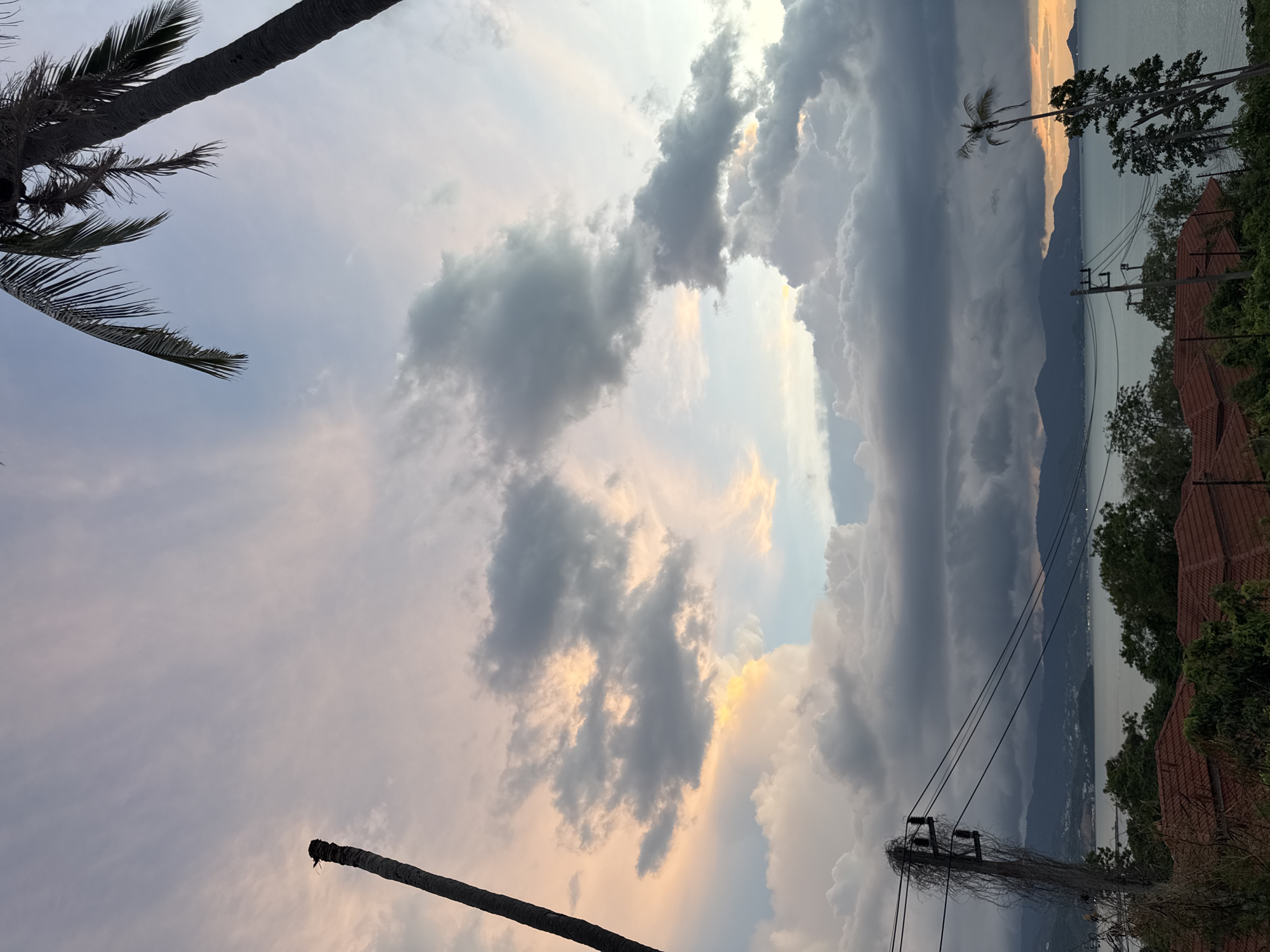 The image depicts a coastal landscape at dusk. In the foreground, several red-tiled rooftops are visible, partially obscured by dark green foliage. Power lines and a utility pole with vines are also prominent in the lower left and center of the frame. Beyond the rooftops, a body of water stretches to the horizon, with a range of mountains forming the distant coastline. The sky is filled with dramatic clouds, transitioning from dark gray to lighter shades of pink and orange, illuminated by the setting sun. Two palm trees are present, one a bare trunk on the left and a full tree with fronds on the right, silhouetted against the colorful sky. The overall scene suggests a tropical or subtropical environment during sunset.