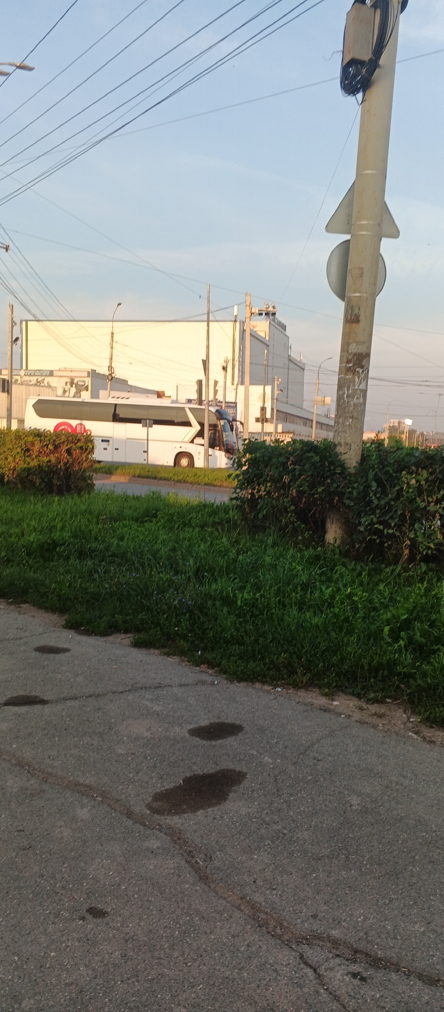 The image shows a wide white bus with a red circular logo on its side, parked on a street in front of a large, light-colored building. The bus has several windows along its length, and the driver's cabin is visible at the front. Green bushes and grass are in the foreground, with a grey asphalt road. A utility pole with wires is also visible on the right side of the image, along with a traffic light in the distance. The sky is clear with a light blue hue, suggesting it is daytime. The scene appears to be an urban environment, likely a commercial or public area. The building in the background is modern in design with a large, blank facade. The overall impression is that of a typical street scene in a city.