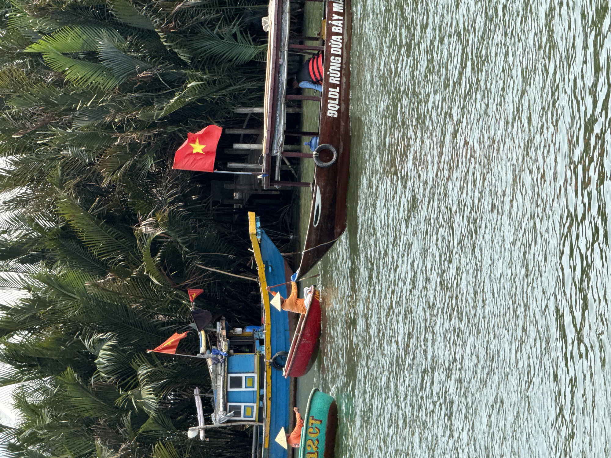 The image captures a vibrant scene on a waterway, likely a river or canal, in a tropical setting. It is daytime, with bright light reflecting off the water.
The main subjects are several boats and a few people engaged in activities on the water. In the center, a large, dark brown wooden boat with a canopy structure is prominent. On its side, white text reads "DOLDL RỪNG DỪA BẢY MẪU," clearly identifying it as a boat for the Seven Mau Coconut Forest, a notable location in Vietnam. A person wearing an orange life vest is visible inside this boat, and a large blue plastic water bottle sits nearby. A red Vietnamese flag with a yellow star flies from the stern of this boat.
Adjacent to the large boat, on the left, is a smaller, brightly painted blue and yellow boat. From this boat, a person wearing a traditional conical hat (nón lá) and an orange shirt is navigating a small, red basket boat (thúng chài). Further to the bottom left, another person in a conical hat and orange shirt is seen in a green basket boat, on which the partial text "12QT" is visible. Additional small Vietnamese flags are flying from the blue boat.
The background features dense, lush green vegetation, primarily palm-like trees (likely coconut palms), lining the banks of the waterway. The water itself shows numerous small ripples, indicating movement or current. The presence of Vietnamese flags, conical hats, and the specific text referring to a famous coconut forest strongly indicates the location is in Vietnam, consistent with the context of Đà Nẵng, which is near the Seven Mau Coconut Forest in Hội An. The scene depicts a common tourist activity in the region.