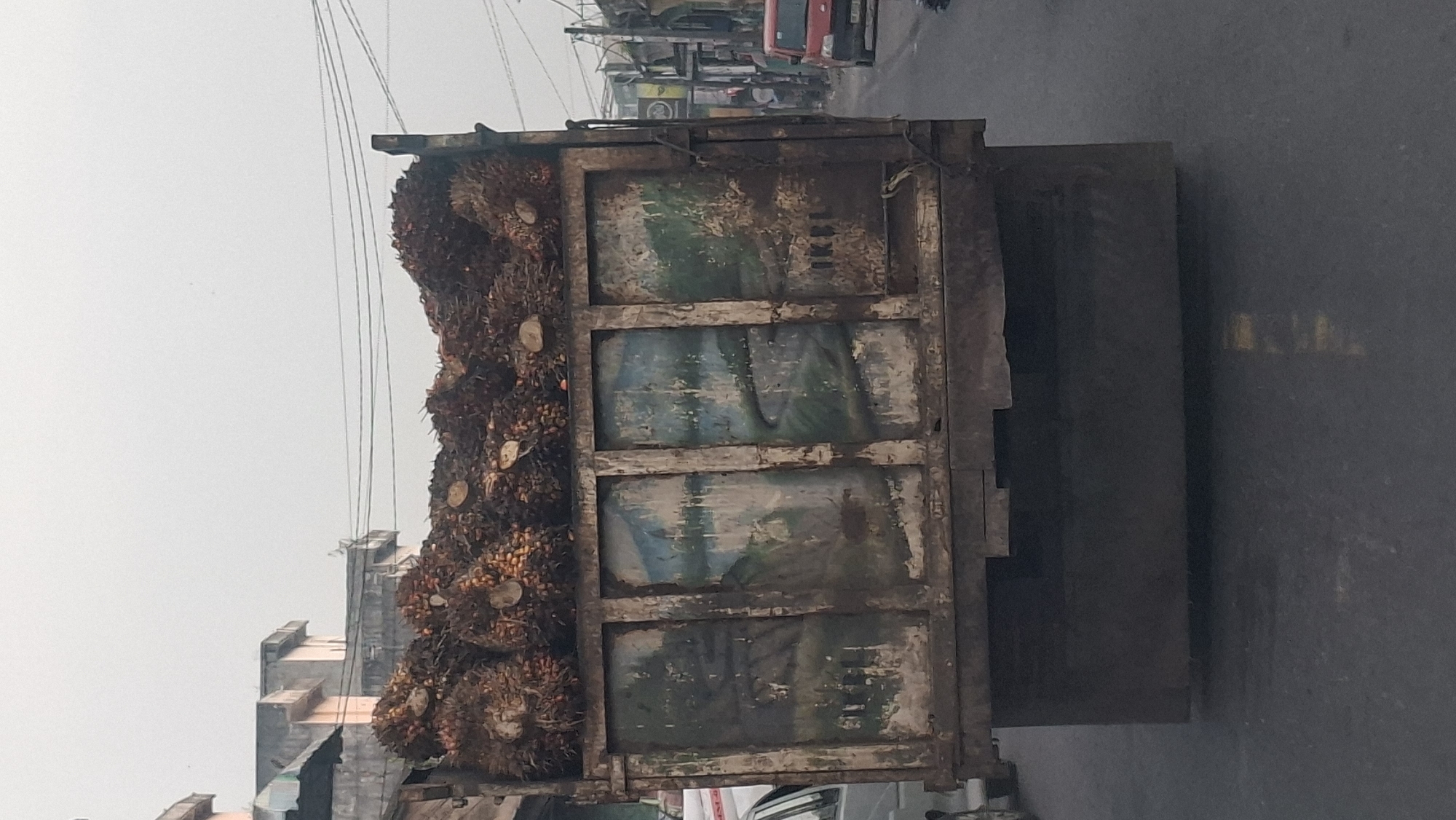 A photograph taken from behind a truck loaded with palm oil bunches shows the back of the truck, which is painted with a mural of a landscape featuring mountains, a river, and trees. The mural is worn and faded. The truck is on a street in Tanjung Pura, Indonesia, with buildings and power lines visible in the background. The sky is overcast. A red van is visible on the right side of the road, further down the street.
