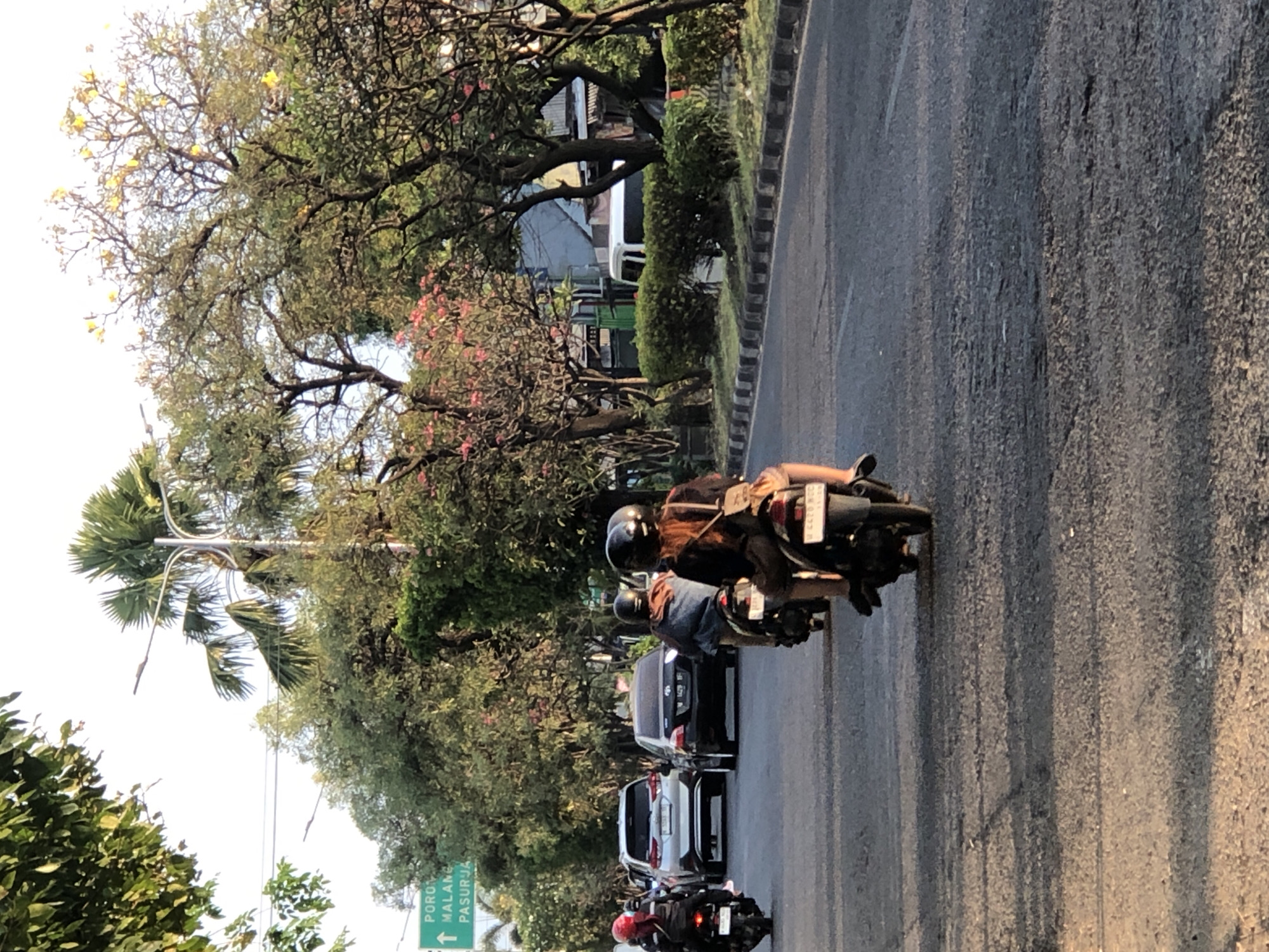 In Gelam, Indonesia, on a paved road, three motorcycles and two cars are traveling. The motorcycles are carrying individuals wearing helmets. The cars are a white SUV and a dark sedan. Trees line the street, with a green directional sign indicating "PORONG MALANG PASURUAN" and an upward arrow. The sun is low in the sky, casting long shadows.