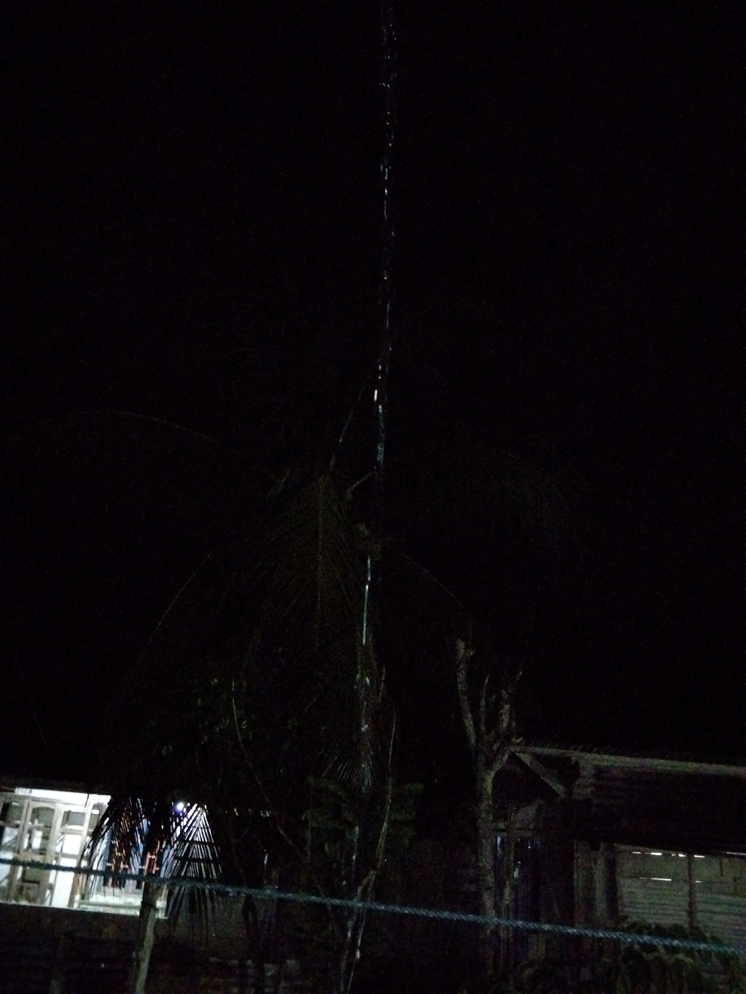 The image depicts a dark, nighttime scene in what appears to be a rural or semi-rural area of Benuaraja, Indonesia. The most prominent feature is a tall, thin, vertical object extending from the top center of the frame downwards, possibly a water spout or a stream of falling water illuminated by an unseen light source. Below this vertical feature, a cluster of dark foliage, likely palm leaves, is visible. In the background, a structure with a corrugated roof and what seems to be a covered porch or open-air building is present. To the left of this structure, part of another building with windows and a light emitting from within is visible. A thin, dark rope or cable stretches horizontally across the lower portion of the image, possibly a clothesline or part of a fence. The overall impression is one of a simple dwelling at night, possibly experiencing rain, with minimal illumination. There are no people visible in the image.