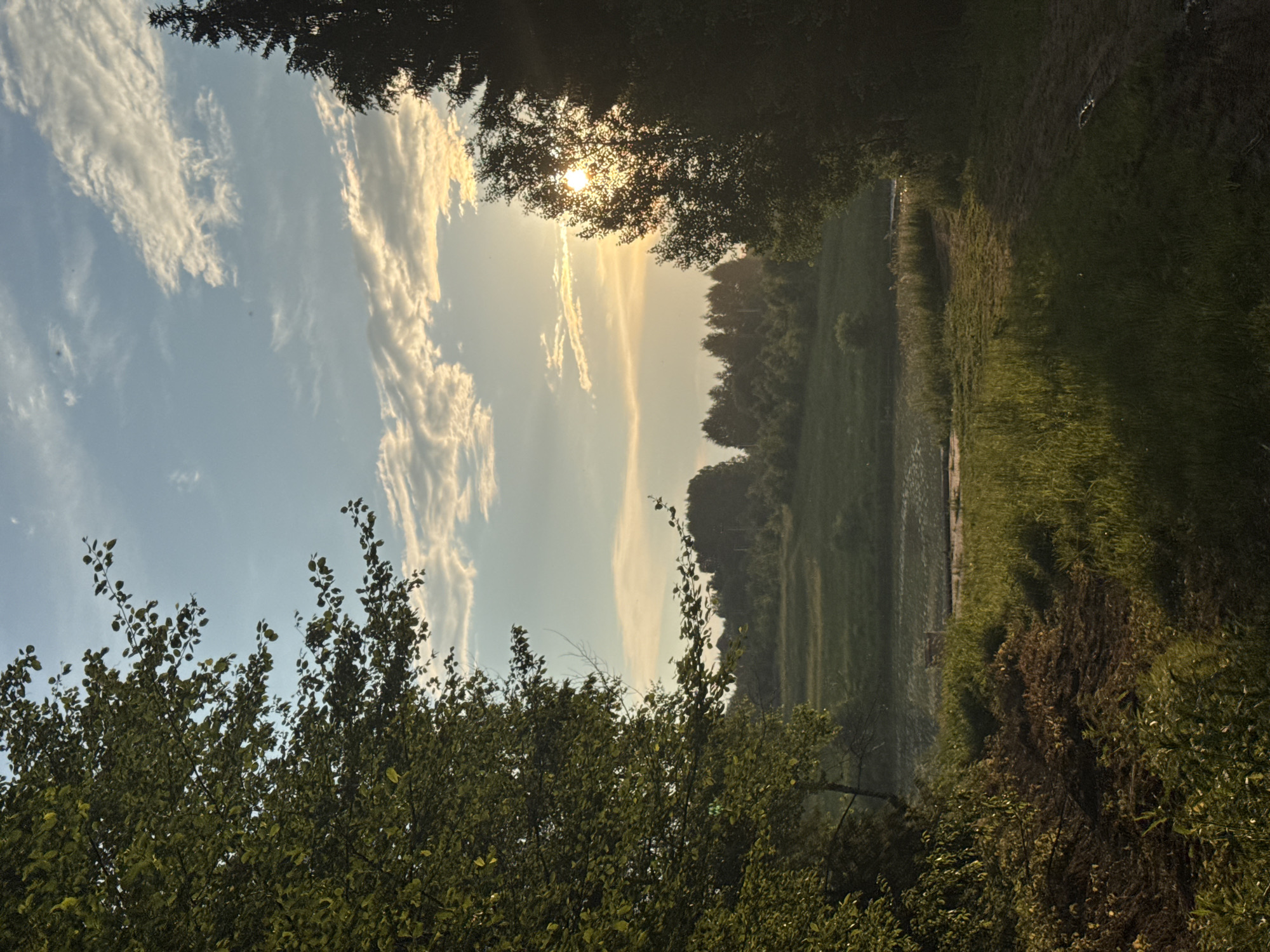 This image depicts a serene natural landscape, likely a rural or semi-rural area, with a focus on vegetation and a body of water. The foreground features tall, lush green trees on the left and right, framing a grassy clearing that leads towards the background. A dirt path is visible in the lower right corner.
In the mid-ground, a calm body of water is present, possibly a lake or pond, with reflections on its surface. Beyond the water, rolling hills covered in dense green vegetation and trees extend into the distance. The horizon is marked by a line of trees and the undulating terrain.
The sky above is a mix of light blue with scattered white and wispy clouds. The sun is partially obscured by trees on the right side of the frame, casting a warm, golden light across the scene, particularly on the clouds and the distant landscape. The overall impression is one of tranquility and natural beauty during what appears to be either sunrise or sunset. The scene is devoid of any human presence or man-made structures apart from a possible small wooden structure visible near the water. The environmental elements suggest a temperate climate.