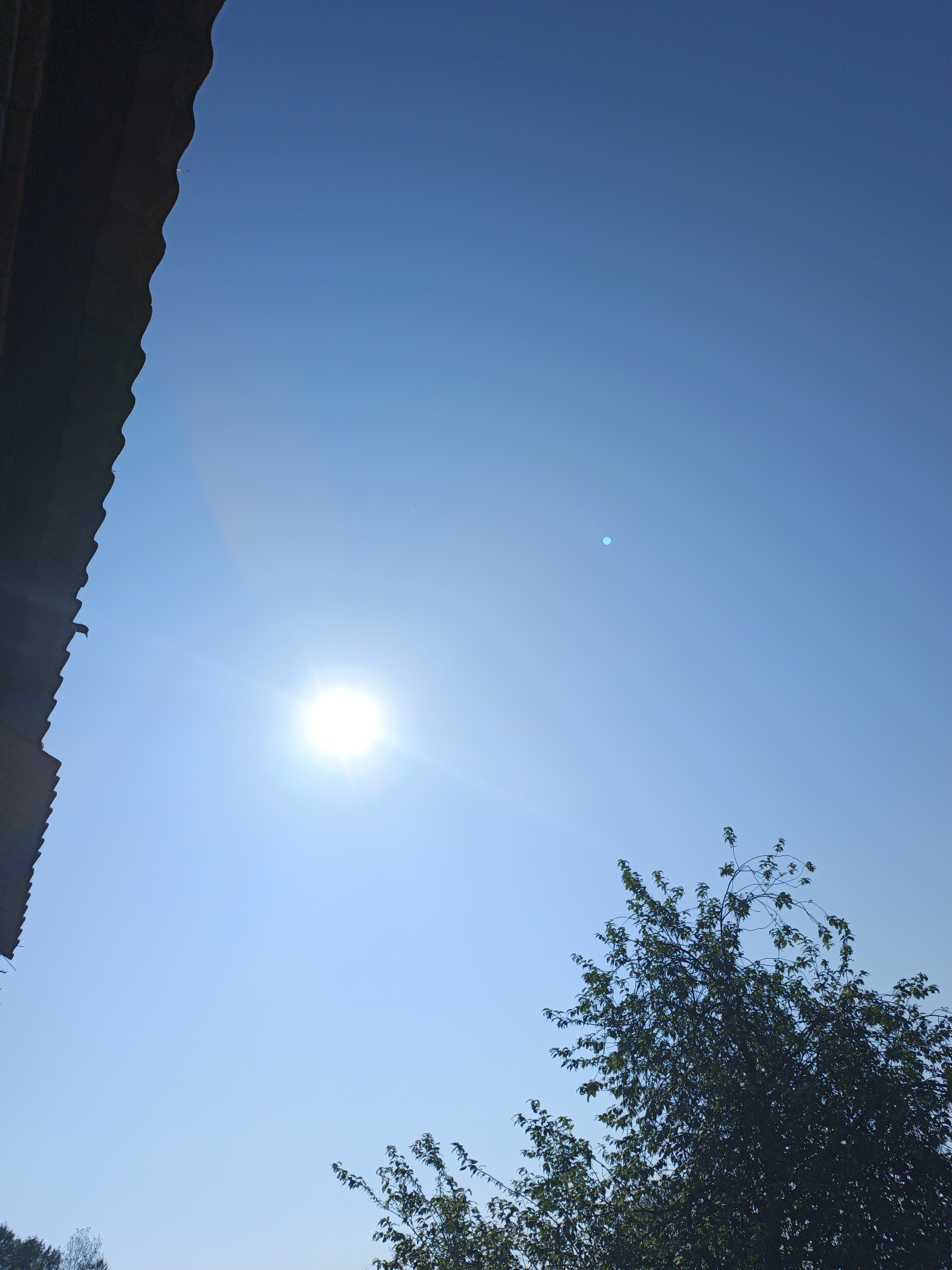 The image captures a bright, clear blue sky above a tree and what appears to be the edge of a building's roof. The sun is visible in the upper left quadrant, emitting a strong glare. In the far upper right corner of the sky, a small, pale blue circle, possibly a lens flare artifact or a distant object, is present. The bottom portion of the image shows the dark, leafy branches of a tree against the sky. The left side of the image is dominated by the dark, textured underside of a roof overhang. There are no people or animals visible in the image. The scene is likely outdoors, given the open sky and natural elements.