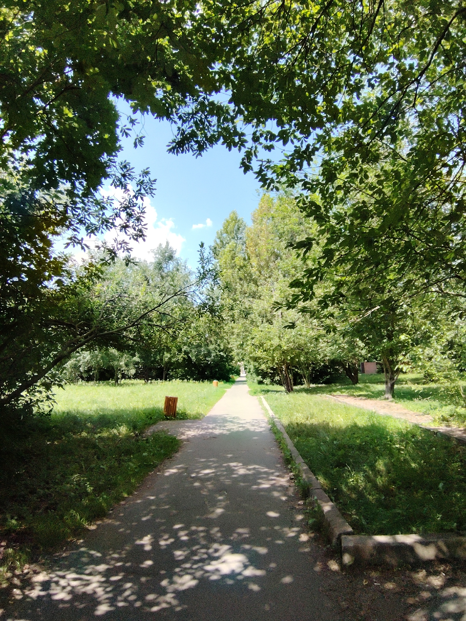 The image shows a paved path through a park, with lush green trees and grass on either side. The path is dappled with sunlight and shadows cast by the leaves overhead. A wooden trash receptacle is visible on the left side of the path. In the distance, the path leads towards more trees and a bright, blue sky with a few scattered clouds. The overall scene suggests a pleasant, sunny day in a park setting, likely in the summertime. The location is identified as Dolgoprudny, Russia. There is no text visible in the image, and no people or specific activities are depicted.
