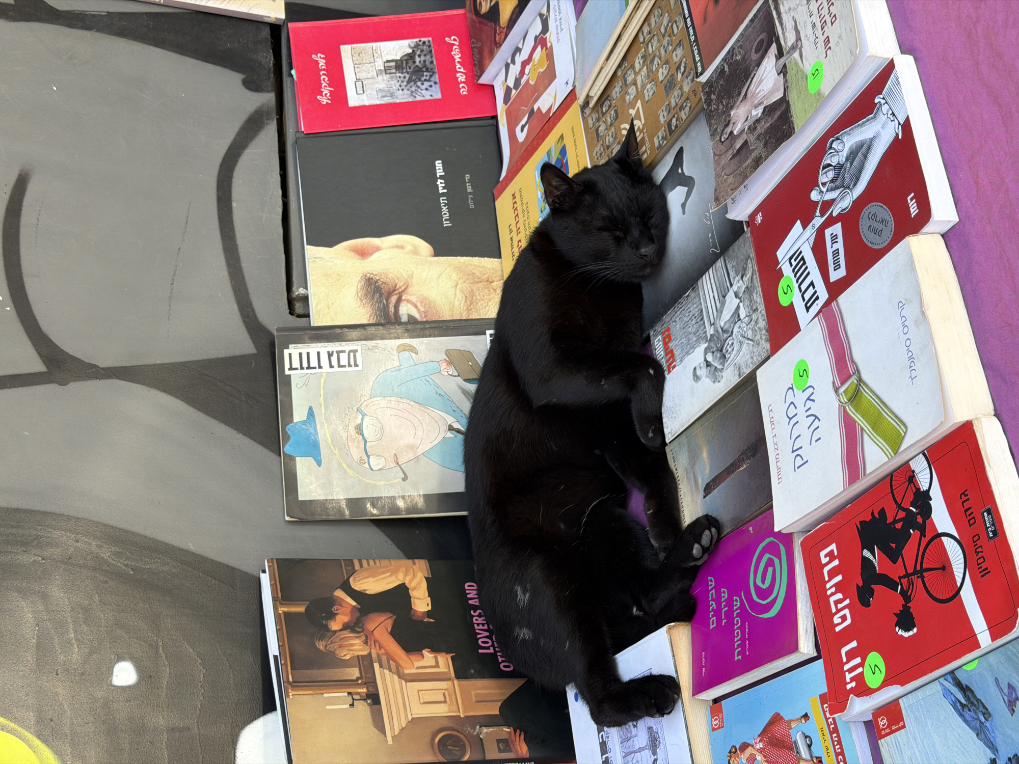 A black cat sleeps on a pile of books displayed on a purple surface. The books are stacked on a sidewalk in Tel Aviv, Israel, in front of a graffiti-covered wall. The books cover various subjects and genres, with titles in Hebrew. Some of the books have price tags or labels. The wall behind the books features abstract graffiti art in shades of gray and black, with hints of white. The scene appears to be an outdoor book market or a display of books for sale.
