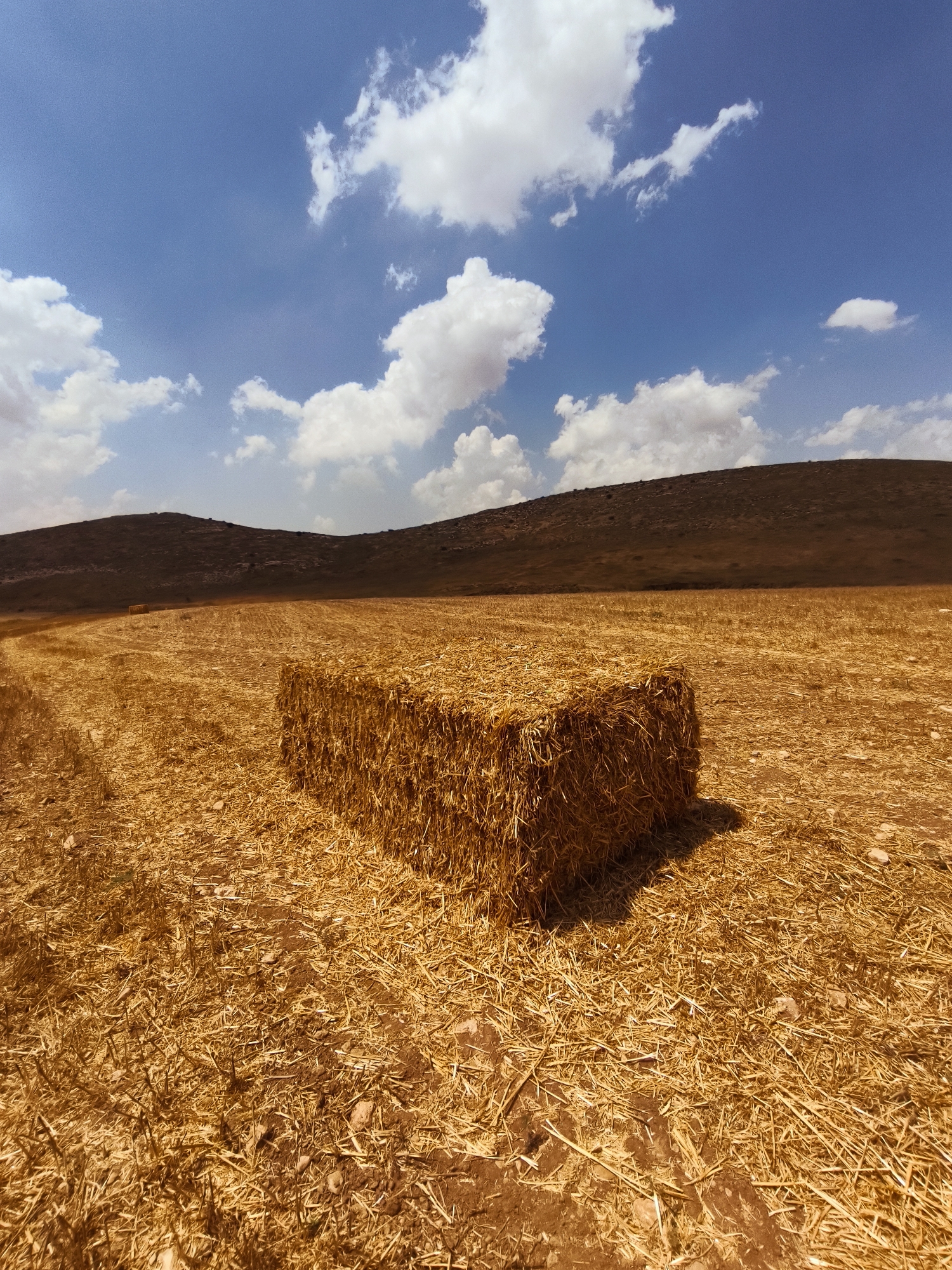 In a harvested field in the Lachish Regional Council, Israel, a single rectangular bale of hay sits in the foreground. The field is covered in dry, golden stubble, with scattered small stones. In the midground, another hay bale is visible further into the field, and the land rolls gently upwards to form arid hills in the background. The sky above is a bright blue, punctuated by fluffy white cumulus clouds. The scene is illuminated by sunlight, casting a distinct shadow from the foreground hay bale onto the stubble. There are no people or animals visible in the image.