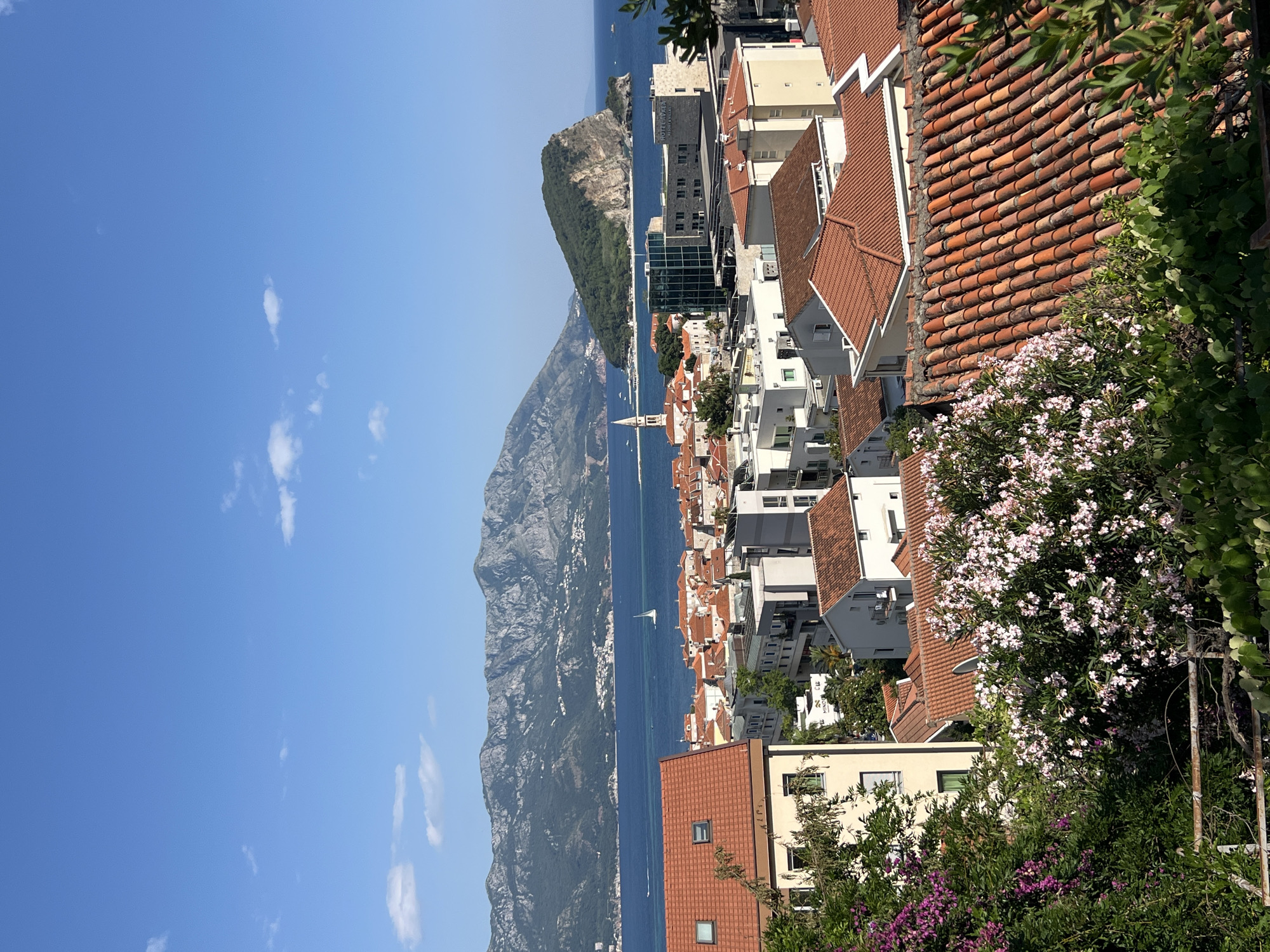 The image is a high-angle, outdoor shot of the city of Budva, Montenegro, overlooking the Adriatic Sea. In the foreground, there are terracotta tiled roofs of buildings, interspersed with lush green foliage and flowering bushes. Behind the immediate rooftops, a cityscape of white and beige buildings with red tiled roofs extends towards the sea. A prominent white bell tower with a spire rises from the middle of the city.
Further out, the deep blue Adriatic Sea stretches to the horizon, dotted with a few boats, including a white sailboat. In the distance, a range of rugged, mountainous terrain with rocky peaks forms a dramatic backdrop to the city and sea. To the right, a verdant, cone-shaped island rises from the water, its slopes covered in dense green vegetation. The sky is a clear, bright blue with a few wispy white clouds. The overall scene conveys a sense of a sunny, picturesque coastal town.