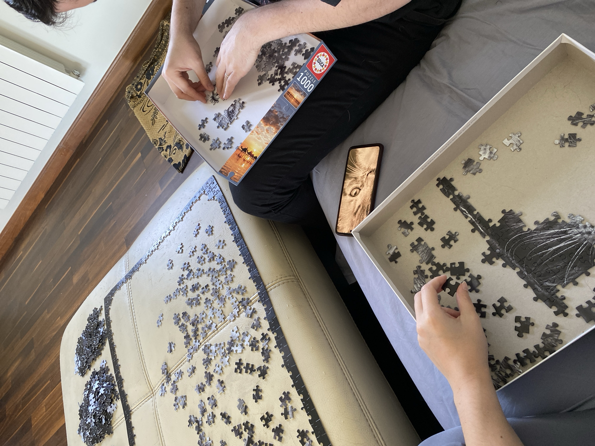 Two people are working on two jigsaw puzzles. One puzzle is a sunset scene, the other is a monochrome image with dark lines and a lighter background. A smartphone lies on the bed between the two puzzles, displaying a close-up photo of a cat's face. The puzzles are set up on a light-colored upholstered surface. The room has a wooden floor. The puzzle box indicates it is an Educa 1000-piece puzzle. The image does not contain sufficient information to determine if it is located in Villaviciosa, Spain.